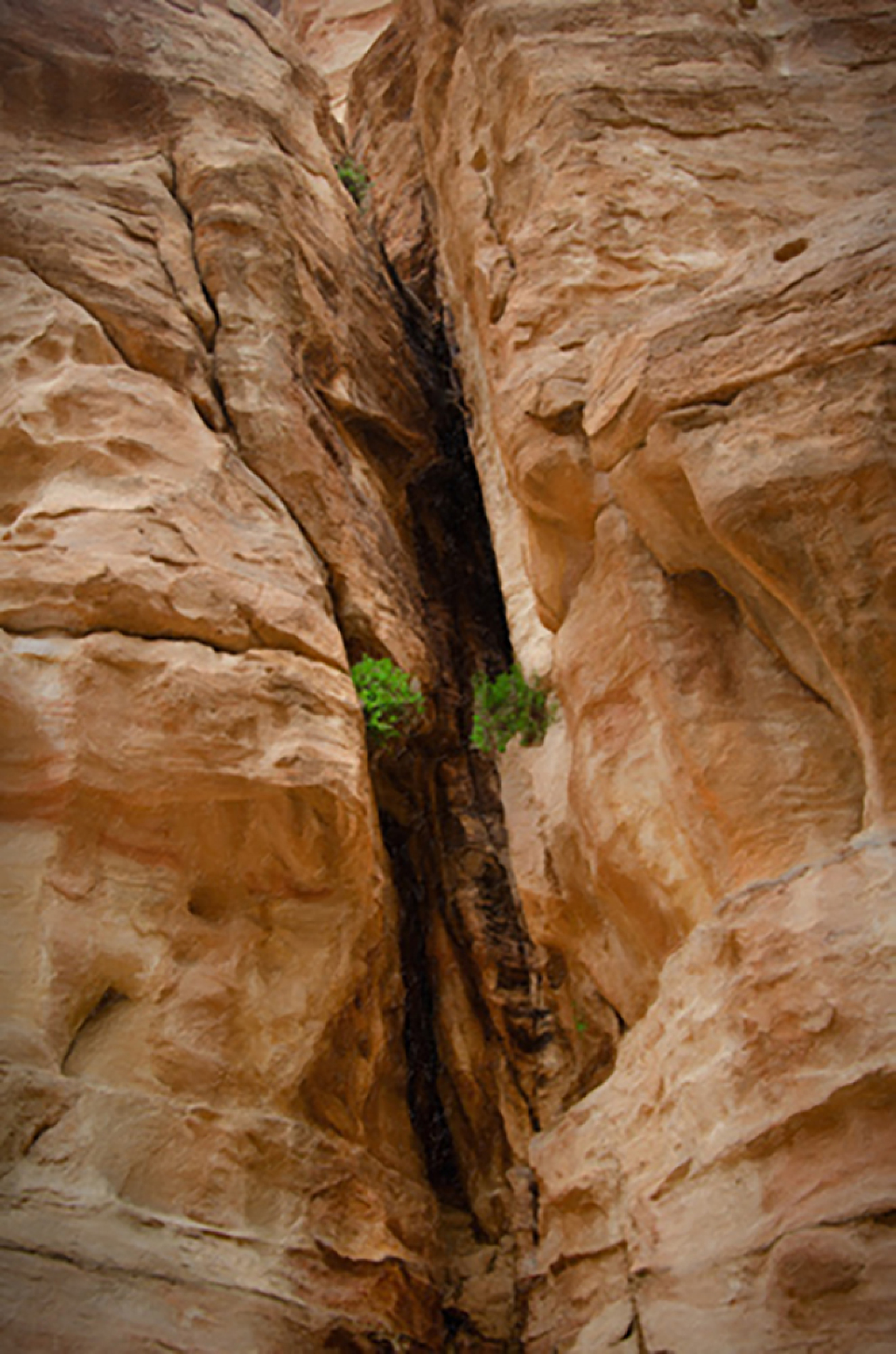 Wadi Rum: H έρημος που διέσχιζε ο Λόρενς της Αραβίας