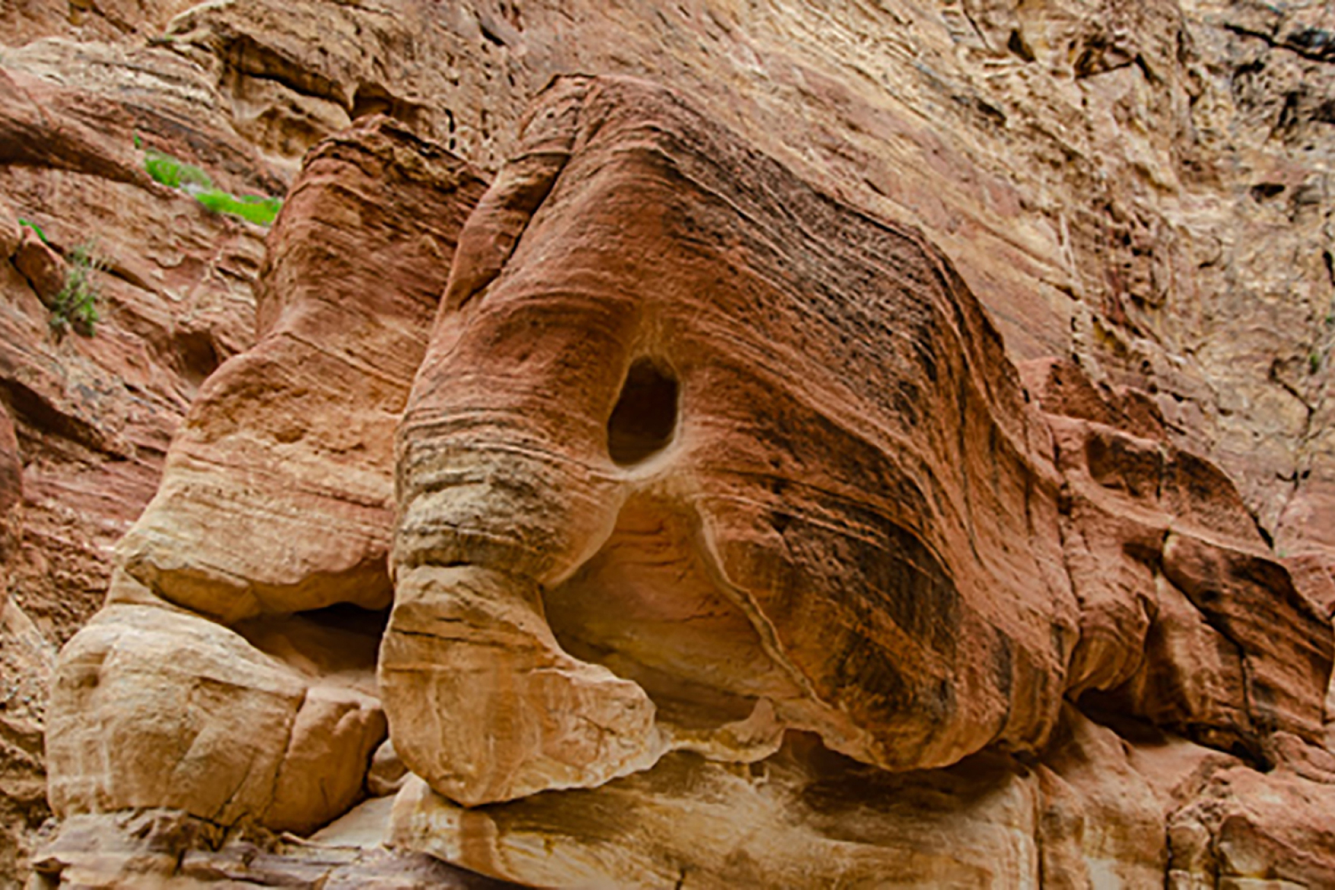 Wadi Rum: H έρημος που διέσχιζε ο Λόρενς της Αραβίας