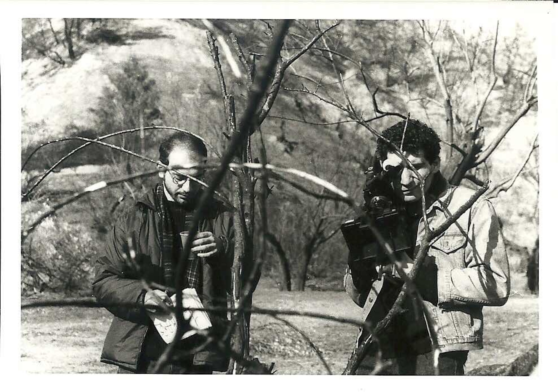 Γιάννης Οικονομίδης