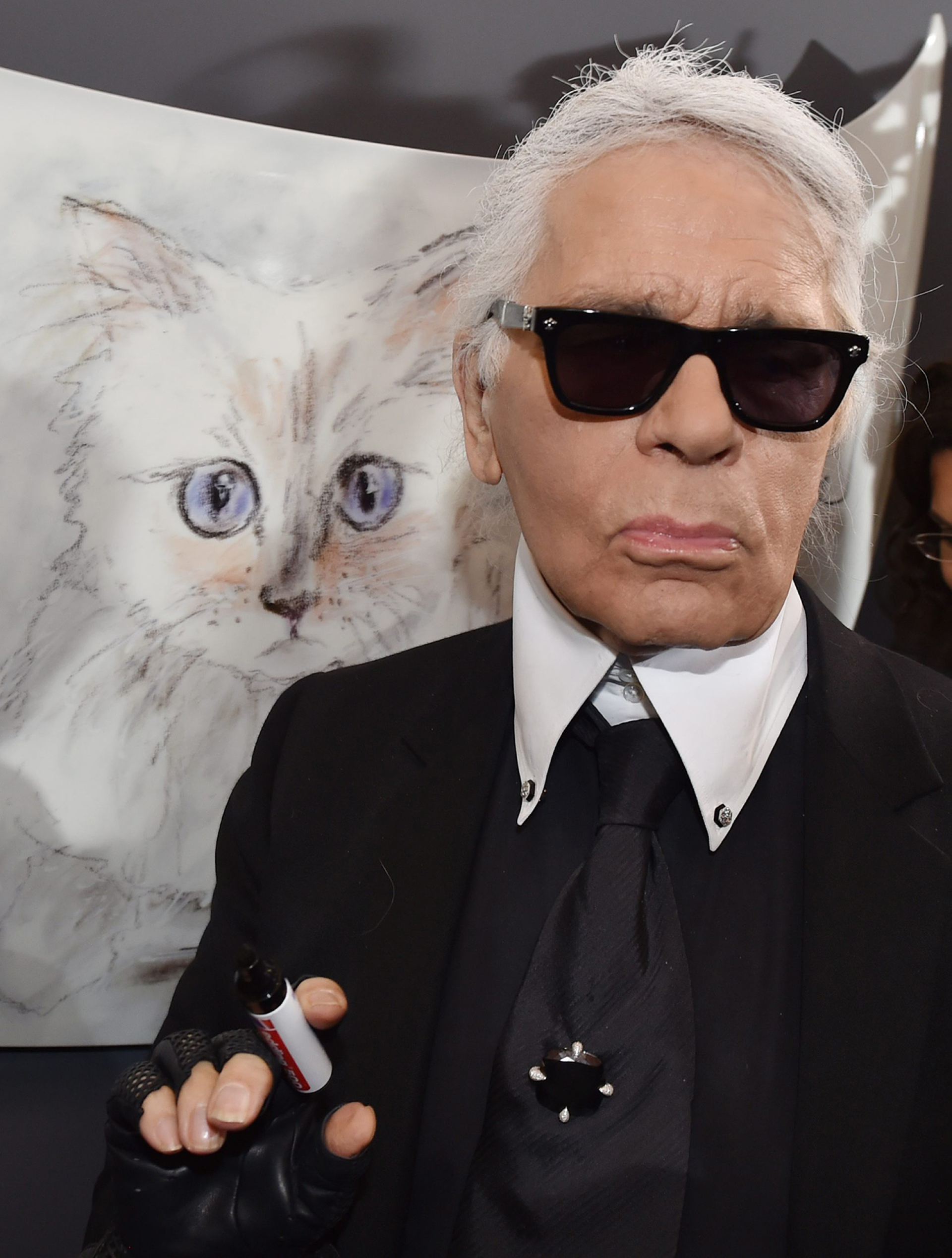 O Karl Lagerfeld το 2015. 