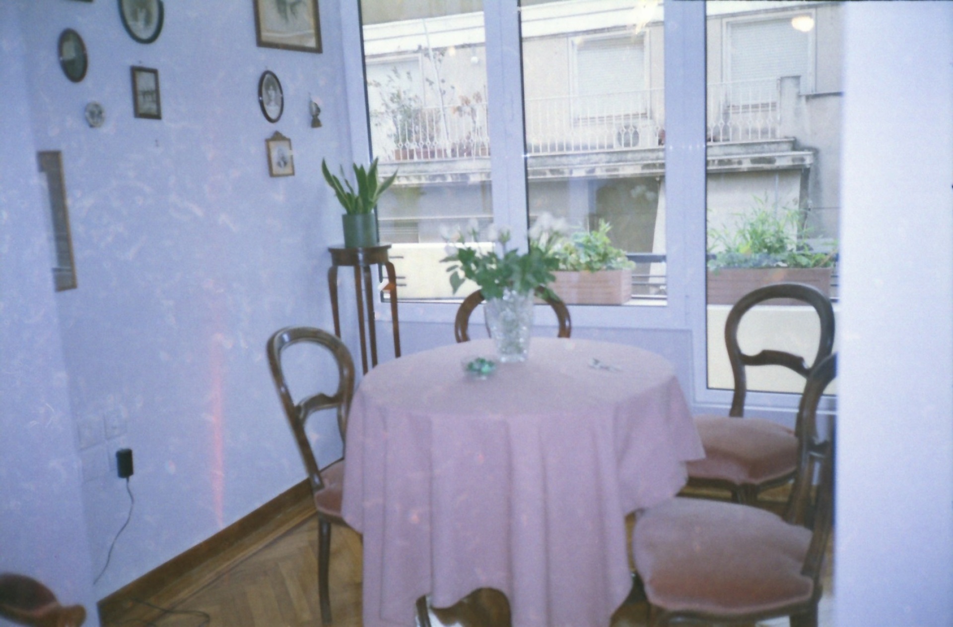 Γωγώ Πονηράκου: Ο «μέινστριμ» κόσμος που ζούμε σε 40 φωτογραφίες της