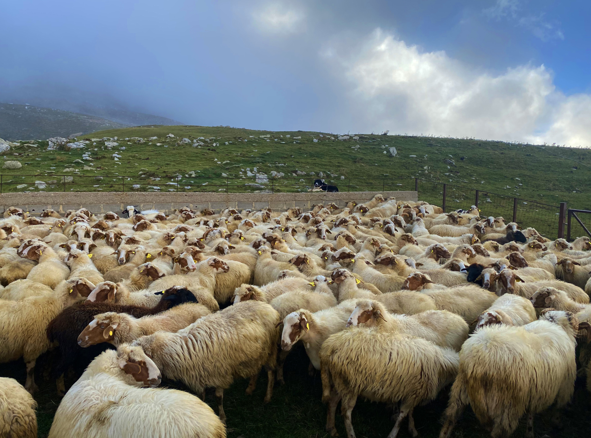 Τι είναι αυτό το Μπούτσκο; Μια νέα 3D ταξιδιωτική περιήγηση στον Μπάρο