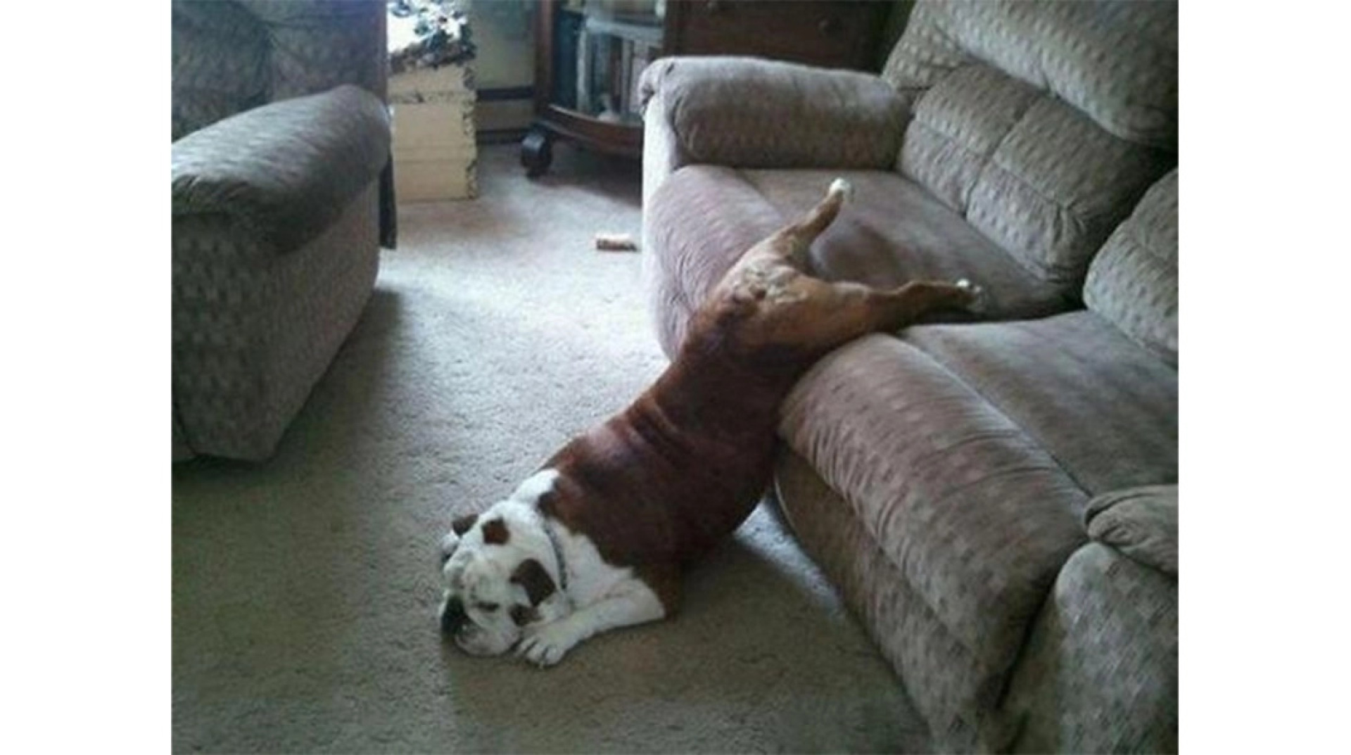 ​Γιατί μου καναπέθανες;