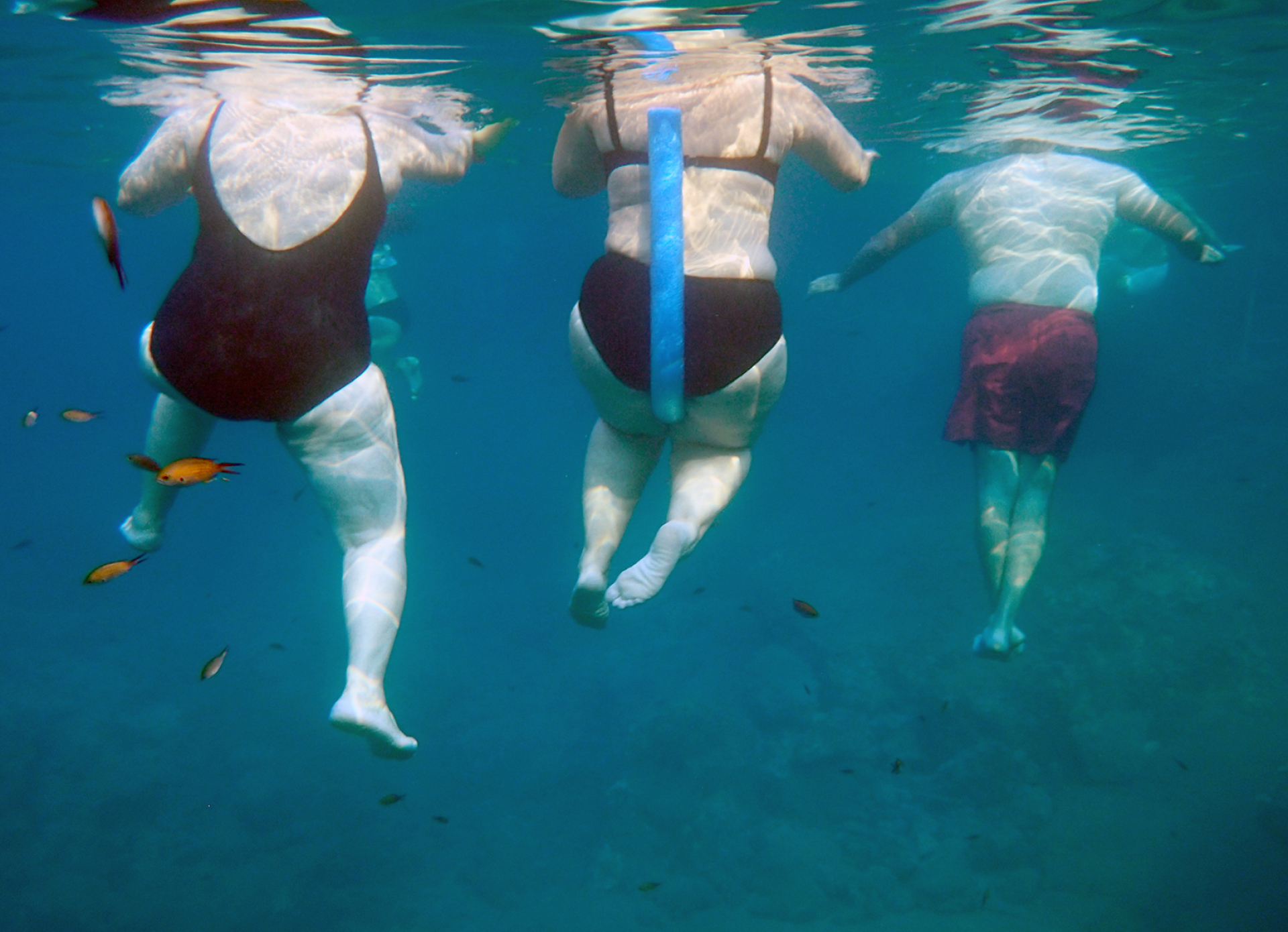 SALT: Το νέο λεύκωμα του Κώστα Μασσέρα καταγράφει την άποψή του για τη φωτογραφία.