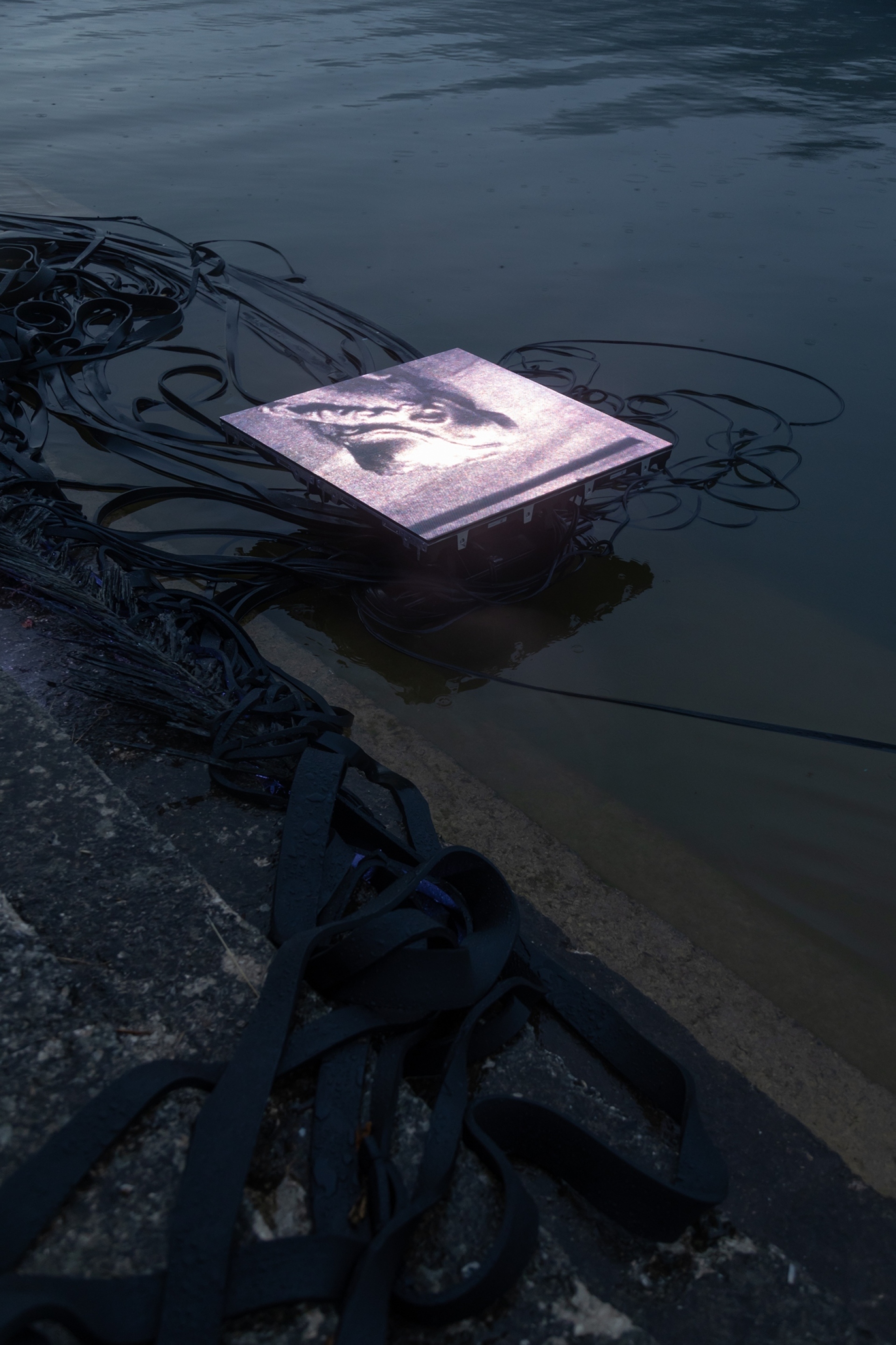 Η «Μέδουσα» της Κατερίνας Κομιανού επιπλέει στην άκρη της λίμνης