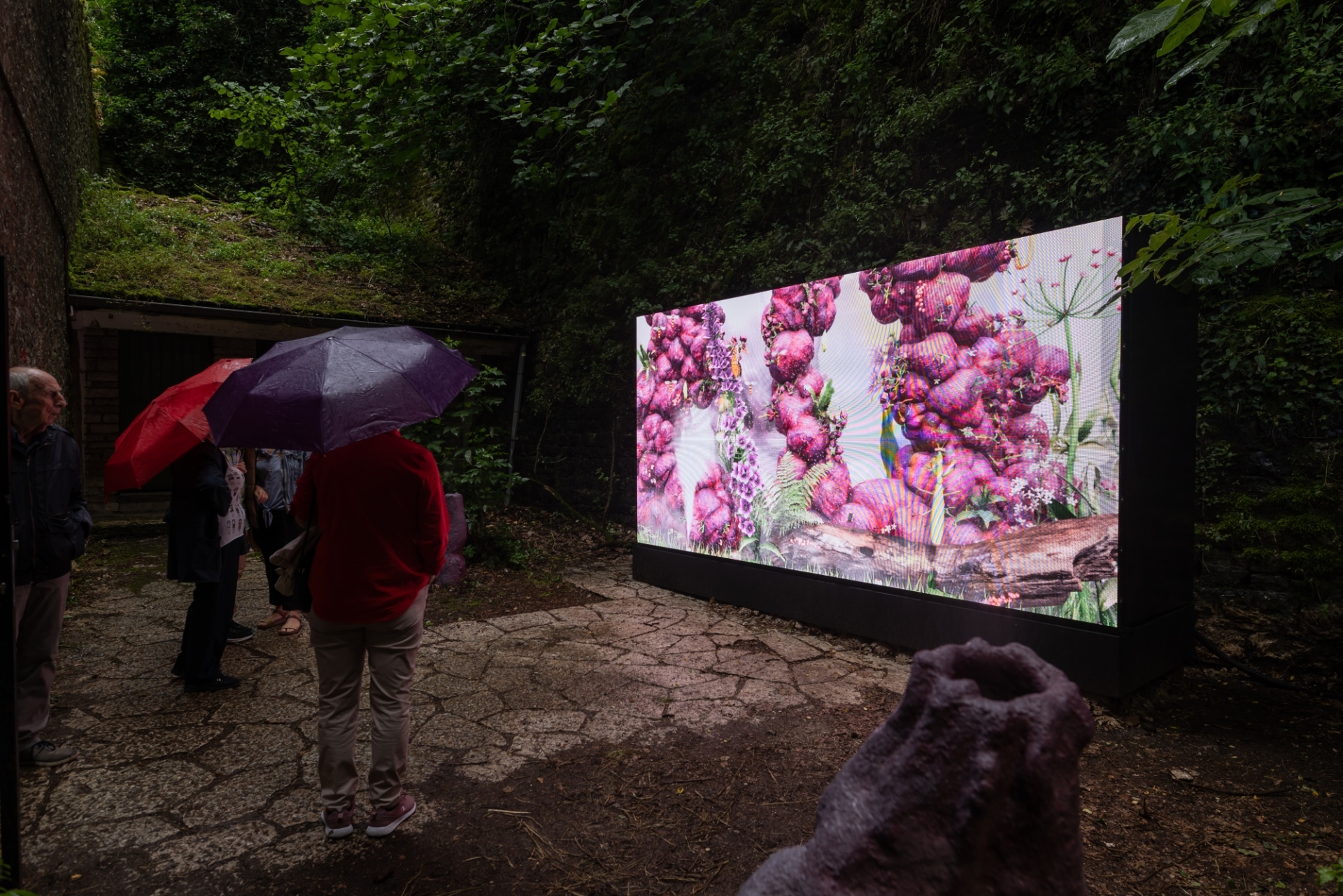 Παρακολουθώντας υπό βροχή το «Bum Sim (Pheromone Spa)» του Θεόκλητου Τριανταφυλλίδη