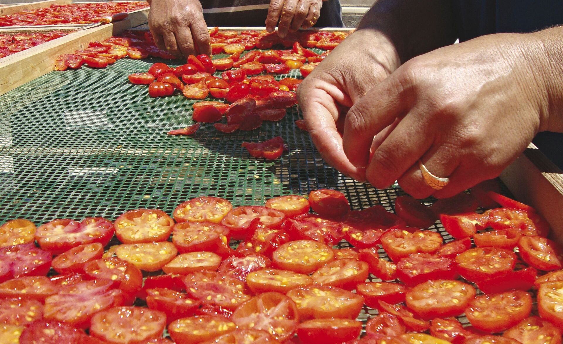 Ντοματίνια