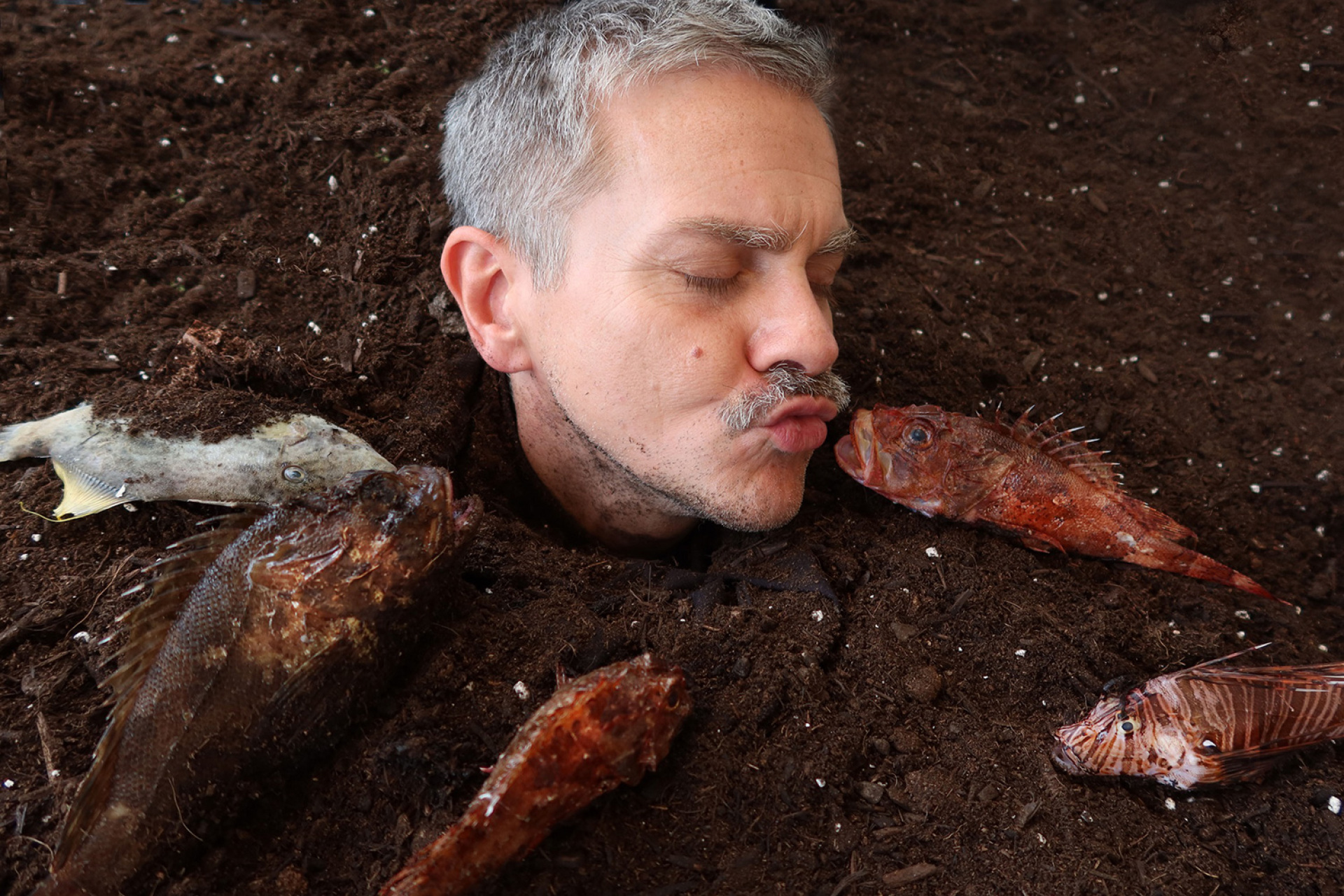 Ένα ταξίδι με τον Στράβωνα