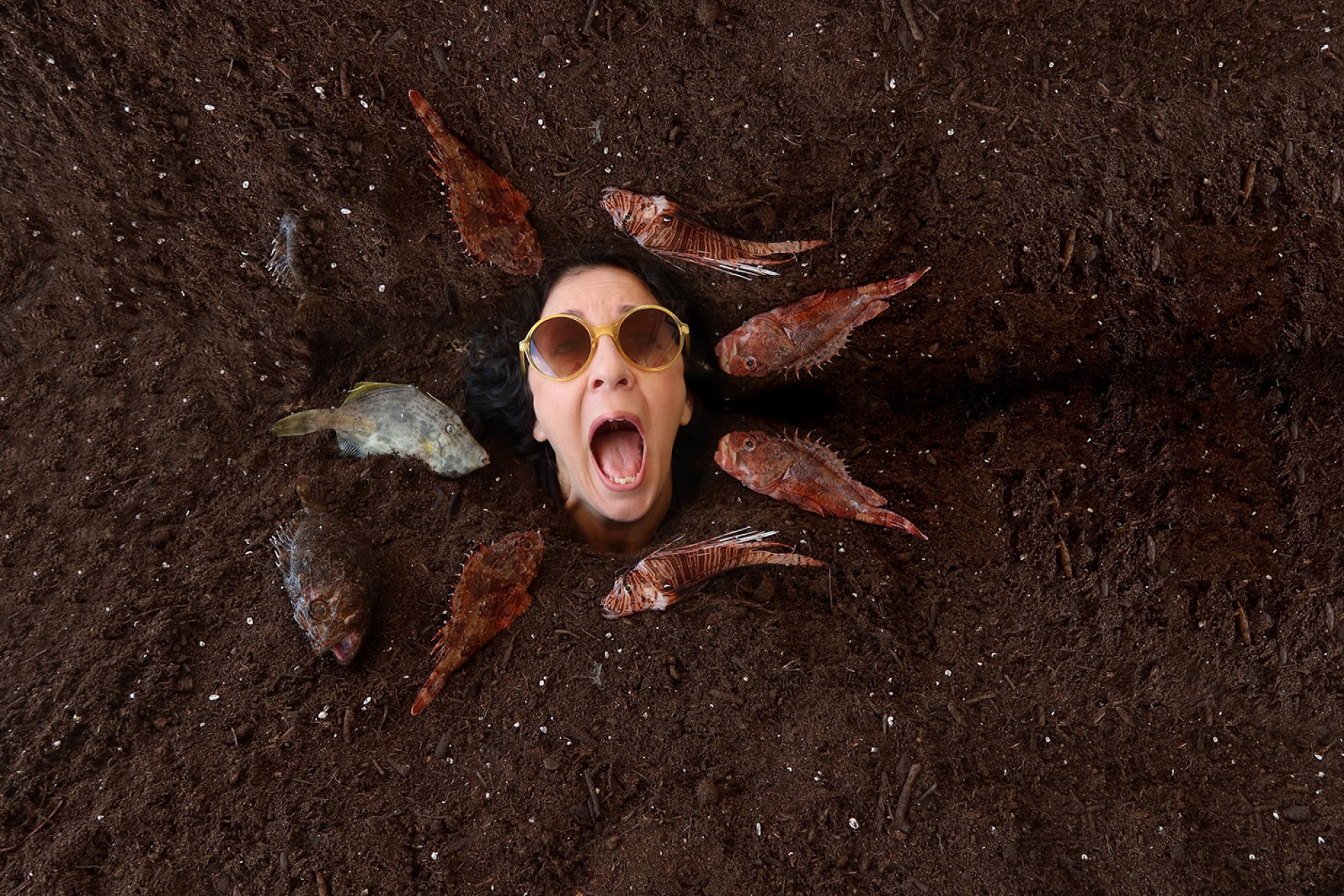 Ένα ταξίδι με τον Στράβωνα