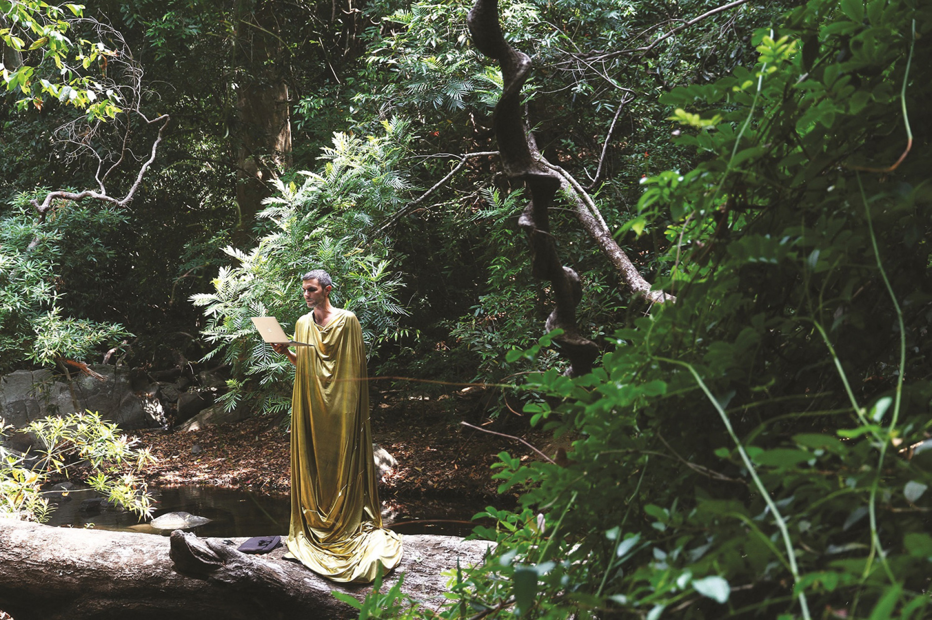 Oh, tranquility, Angelo Plessas