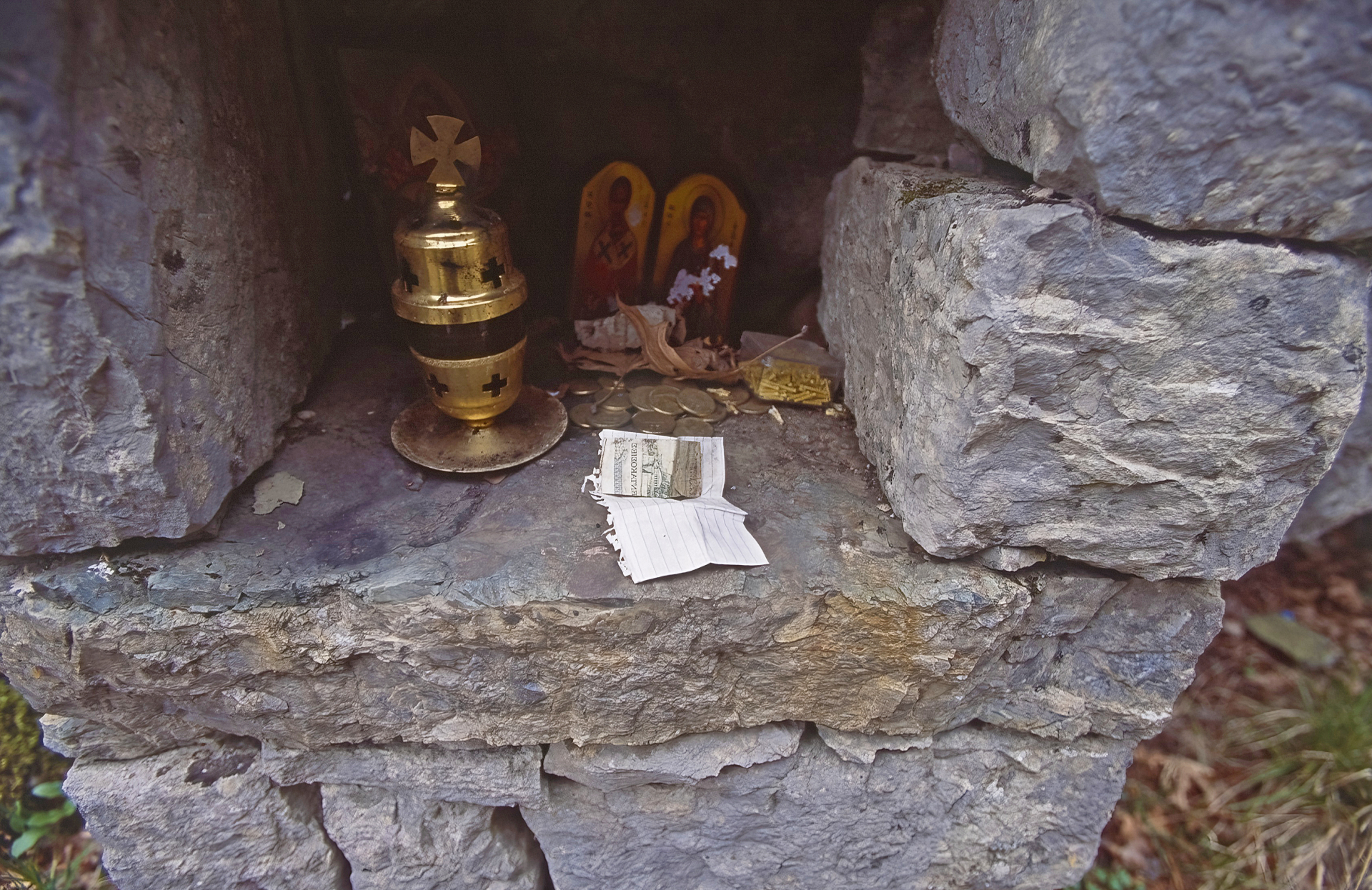 Ταξίδι στους Καλαρρύτες: Μια πρωτότυπη εικονική περιήγηση στο μονοπάτι που συνδέει το χωριό της Ηπείρου με το Συρράκο 