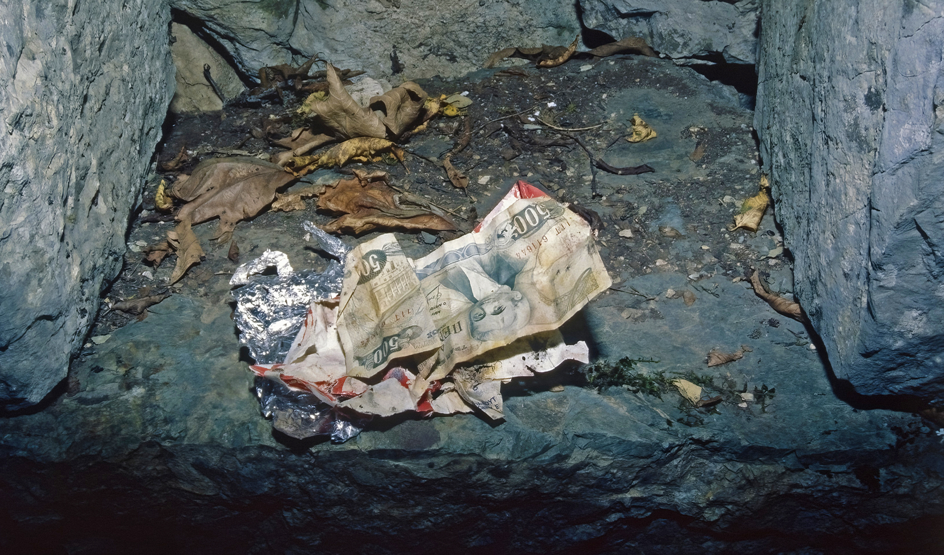 Ταξίδι στους Καλαρρύτες: Μια πρωτότυπη εικονική περιήγηση στο μονοπάτι που συνδέει το χωριό της Ηπείρου με το Συρράκο 