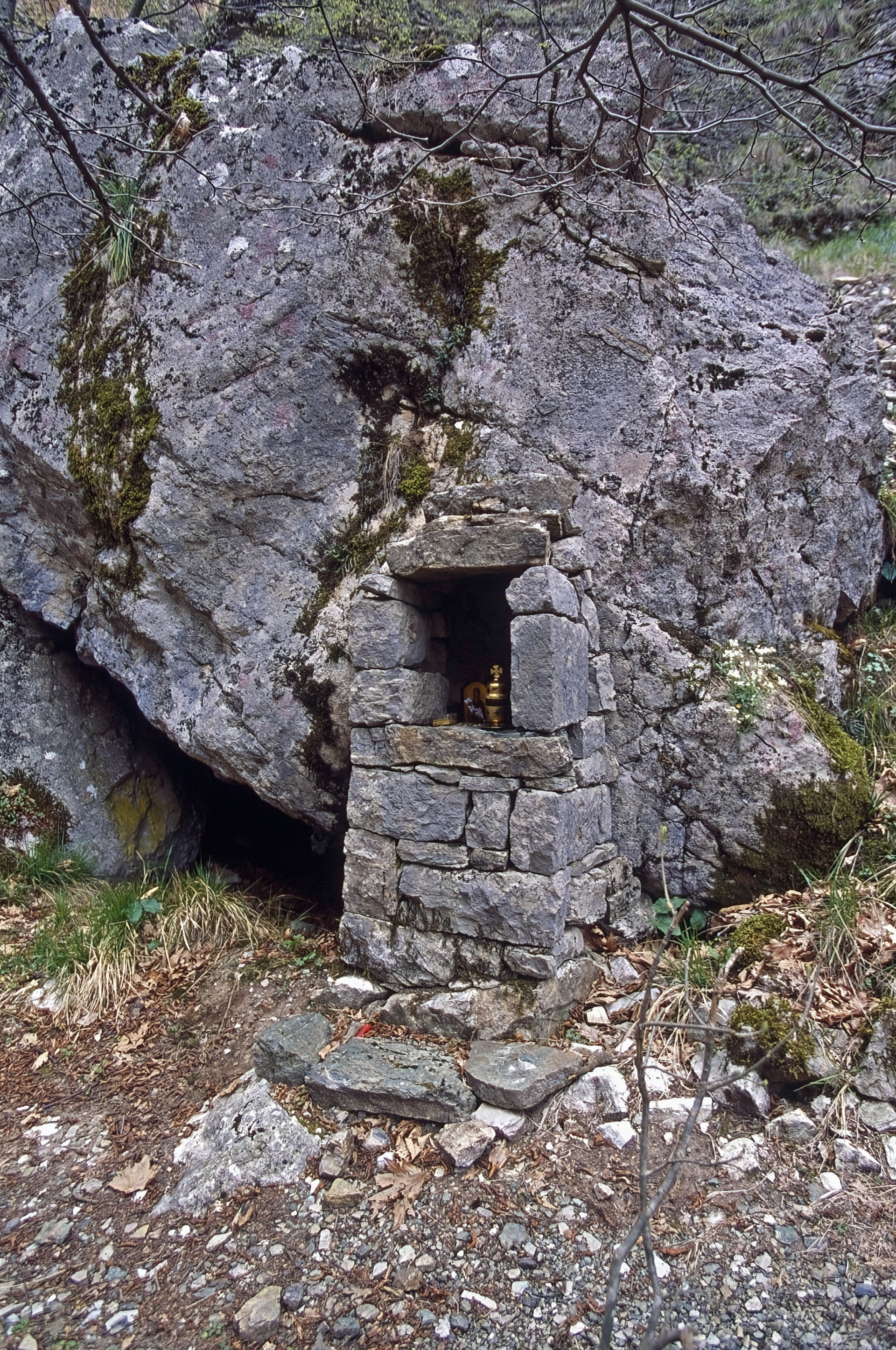 Ταξίδι στους Καλαρρύτες: Μια πρωτότυπη εικονική περιήγηση στο μονοπάτι που συνδέει το χωριό της Ηπείρου με το Συρράκο 