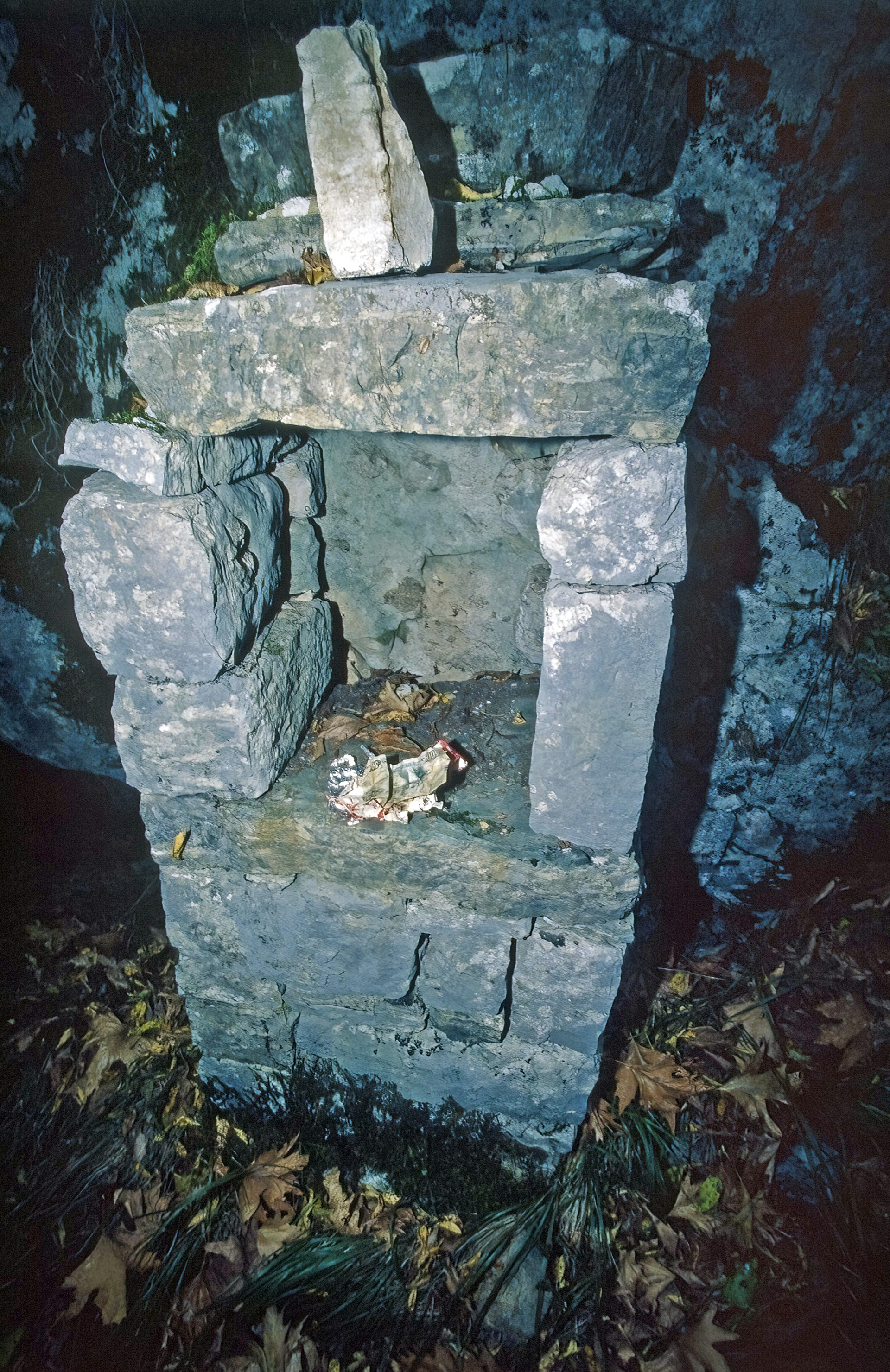 Ταξίδι στους Καλαρρύτες: Μια πρωτότυπη εικονική περιήγηση στο μονοπάτι που συνδέει το χωριό της Ηπείρου με το Συρράκο 