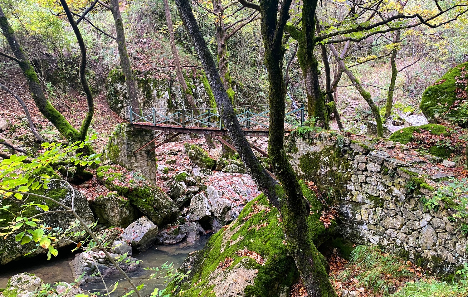 Ταξίδι στους Καλαρρύτες: Μια πρωτότυπη εικονική περιήγηση στο μονοπάτι που συνδέει το χωριό της Ηπείρου με το Συρράκο 