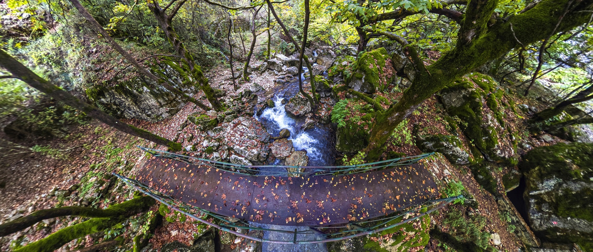 Ταξίδι στους Καλαρρύτες: Μια πρωτότυπη εικονική περιήγηση στο μονοπάτι που συνδέει το χωριό της Ηπείρου με το Συρράκο 
