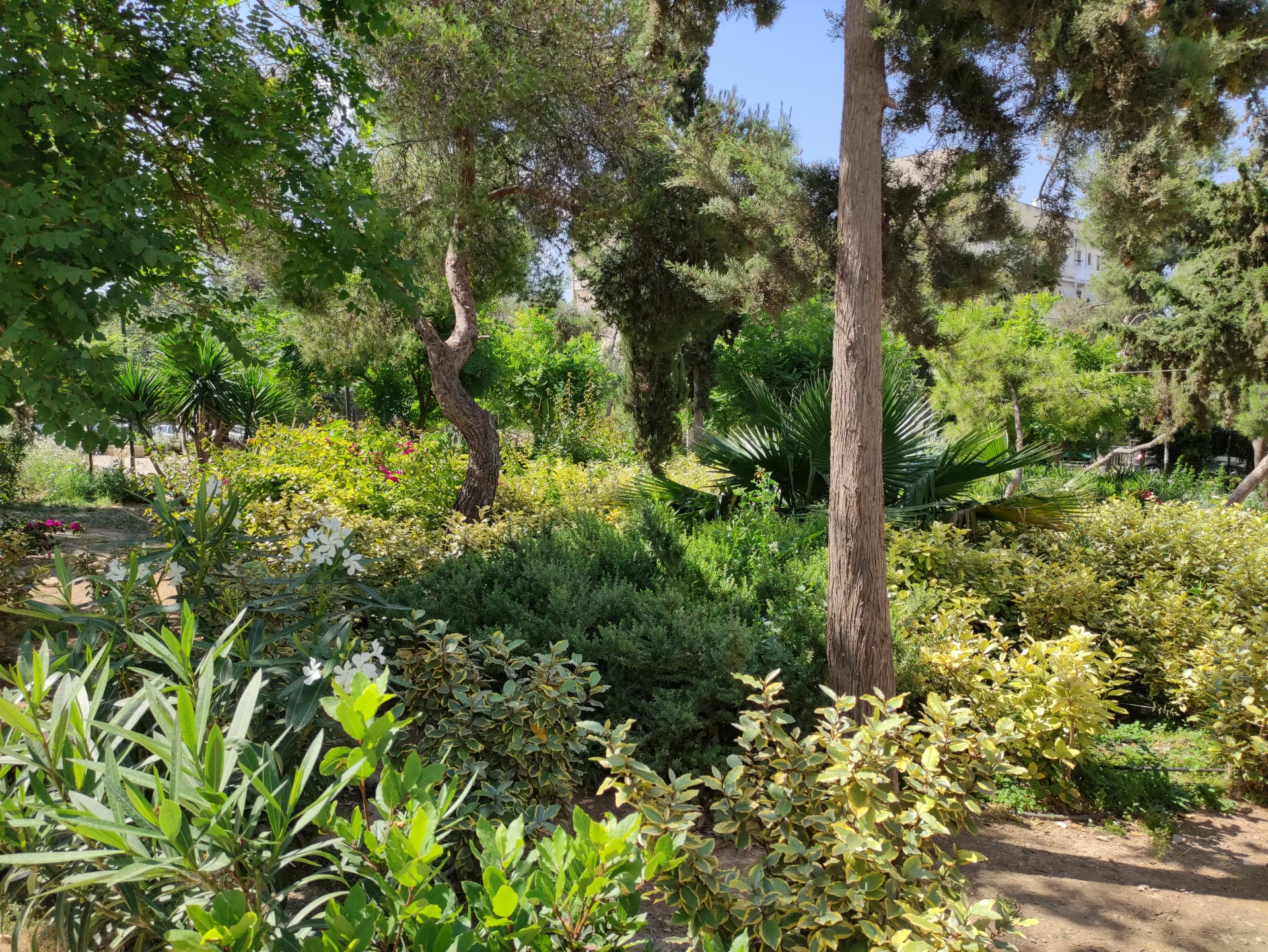 Πάρκο Οβρένοβιτς