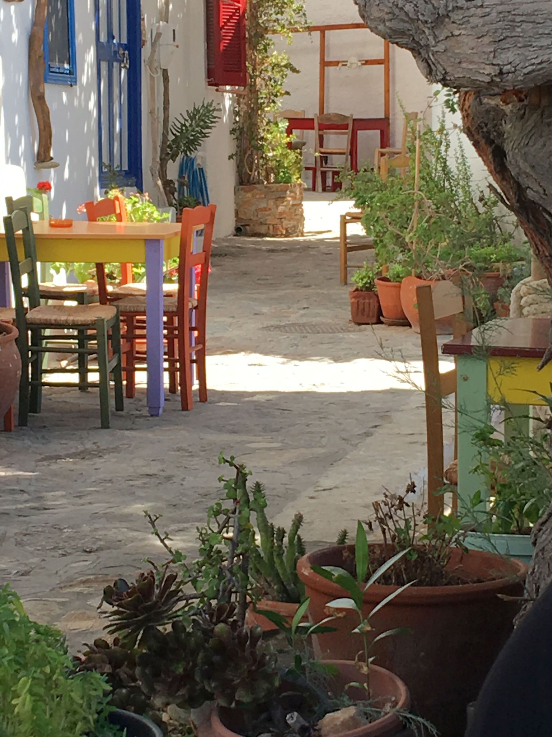 Τι γεύση έχουν τα ελληνικά νησιά;