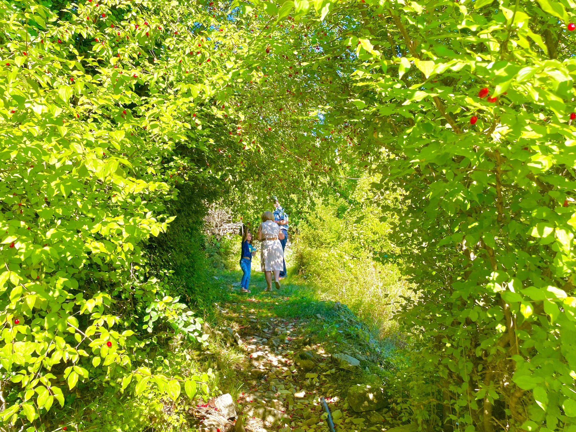 Από την λίμνη Τριχωνίδα στα Ορεινά χωριά