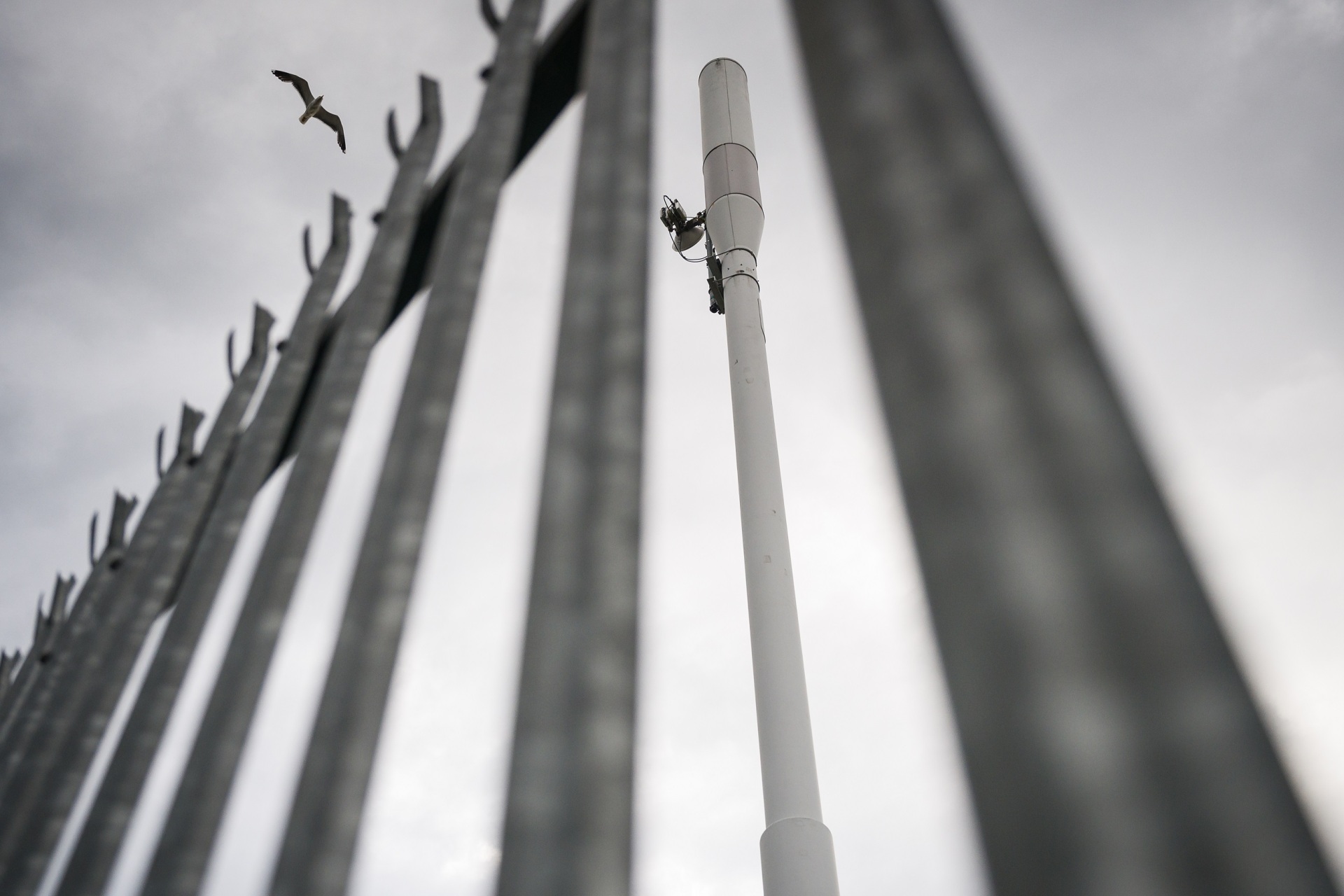 Ο Ρωμανός Γεροδήμος με μια σειρά αναλύσεων για την Κίνα - 6ο μέρος:  Μέσα στα πανεπιστήμια της Δύσης