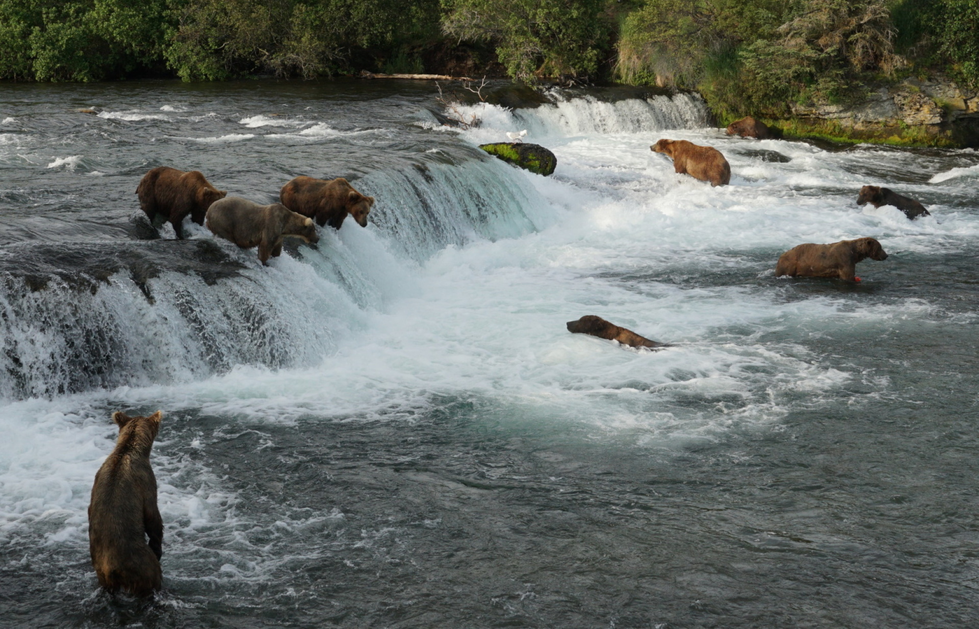 Κατμάι: Το παρθένο βασίλειο της «παχιάς αρκούδας»  