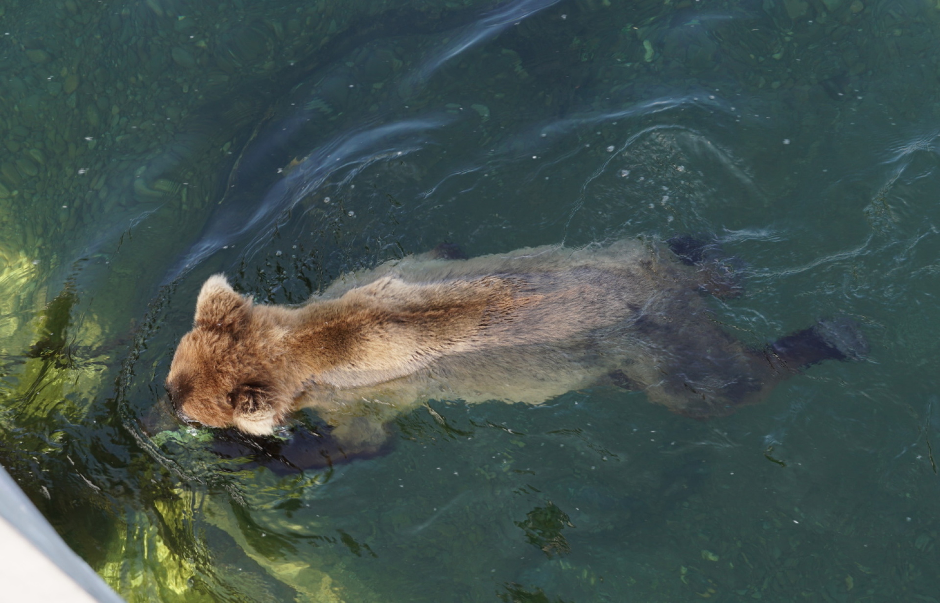 Κατμάι: Το παρθένο βασίλειο της «παχιάς αρκούδας»  