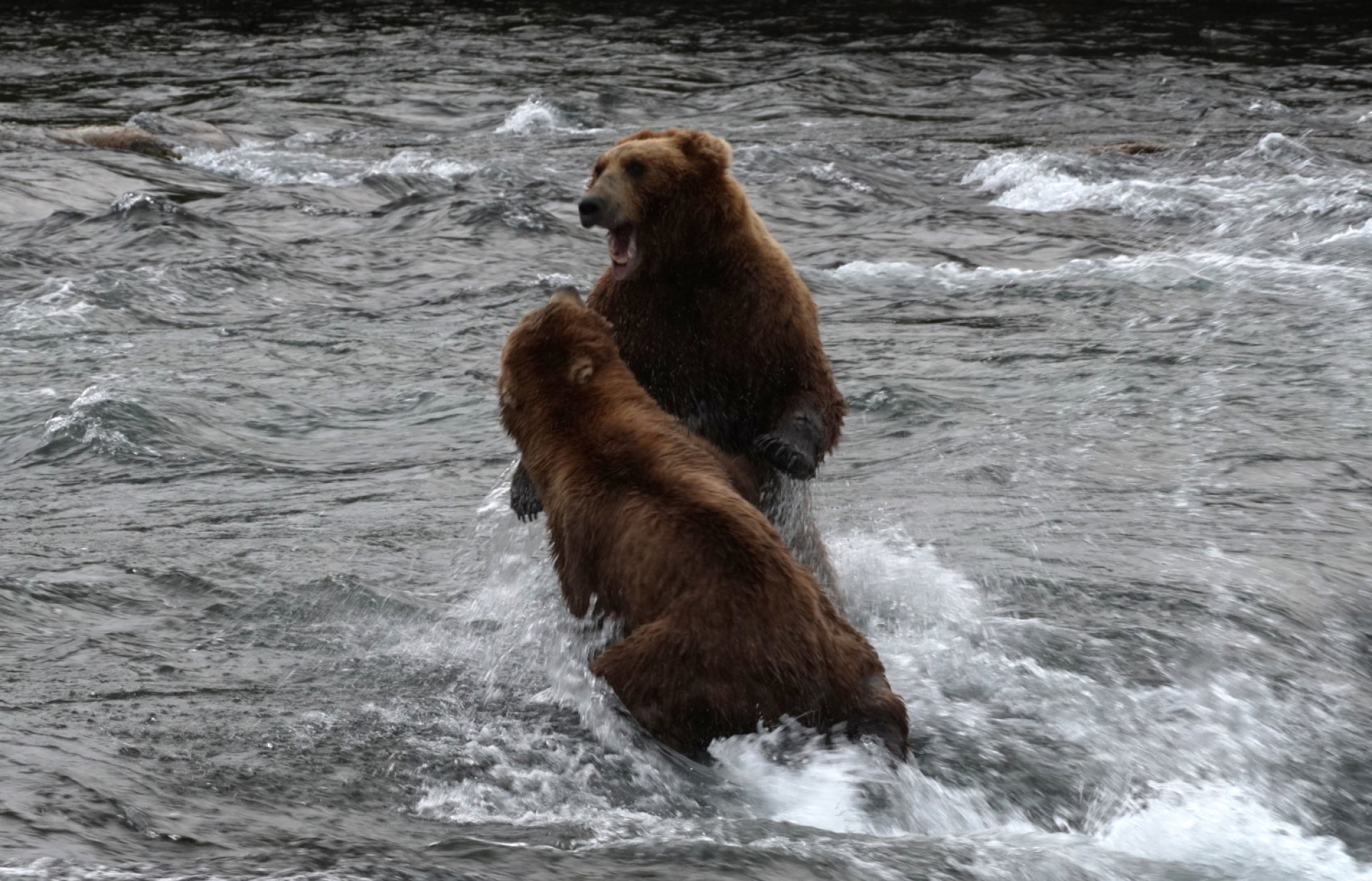 Κατμάι: Το παρθένο βασίλειο της «παχιάς αρκούδας»  