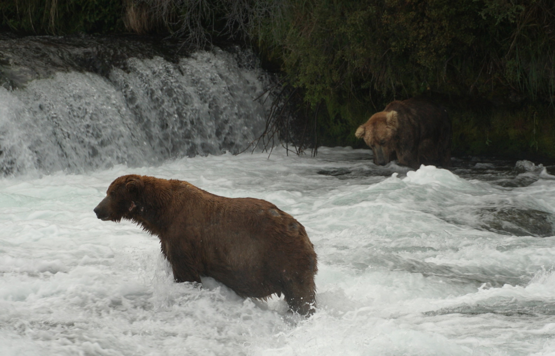 Κατμάι: Το παρθένο βασίλειο της «παχιάς αρκούδας»  