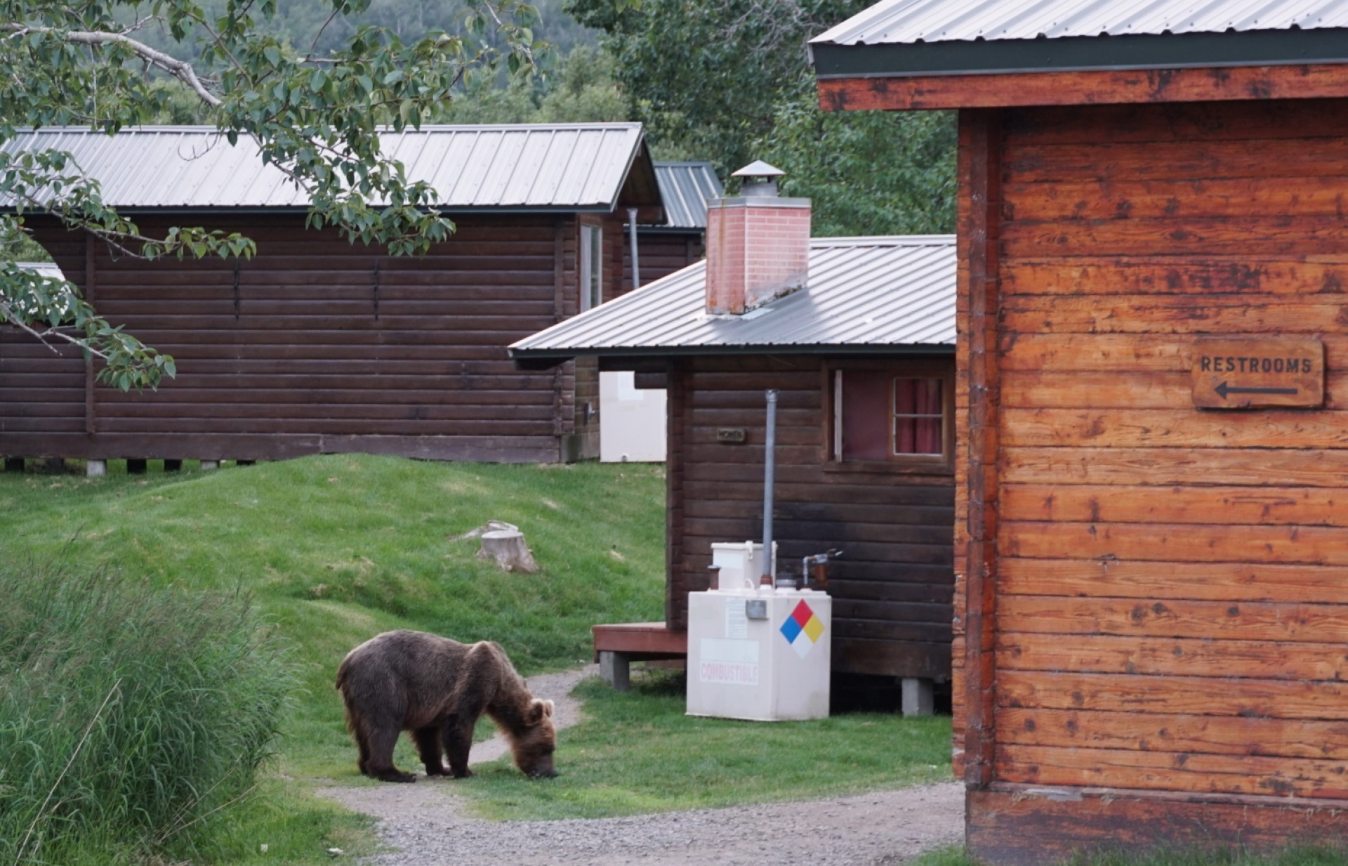 Κατμάι: Το παρθένο βασίλειο της «παχιάς αρκούδας»  