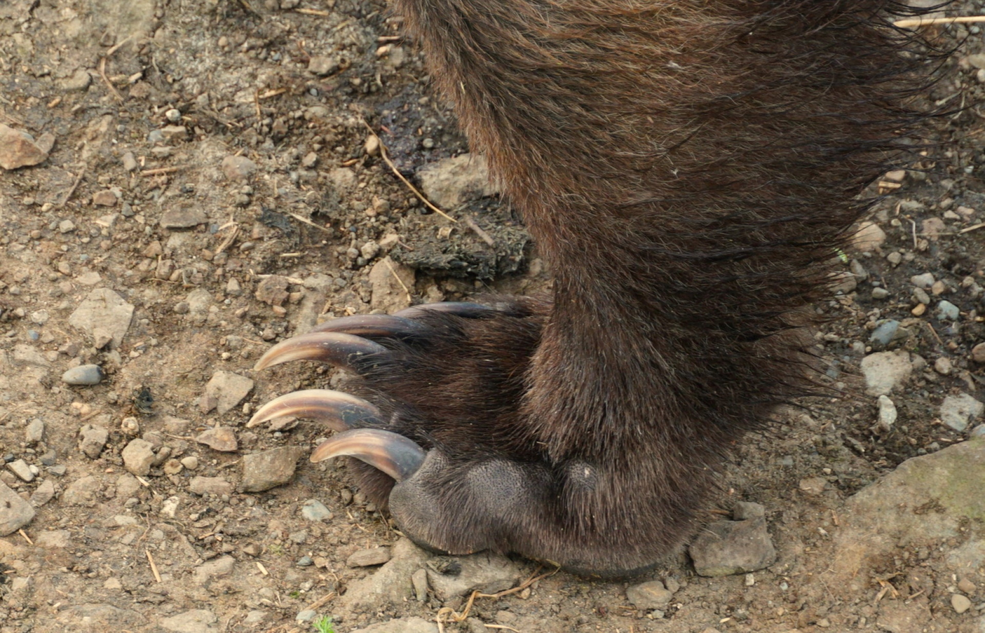 Κατμάι: Το παρθένο βασίλειο της «παχιάς αρκούδας»  