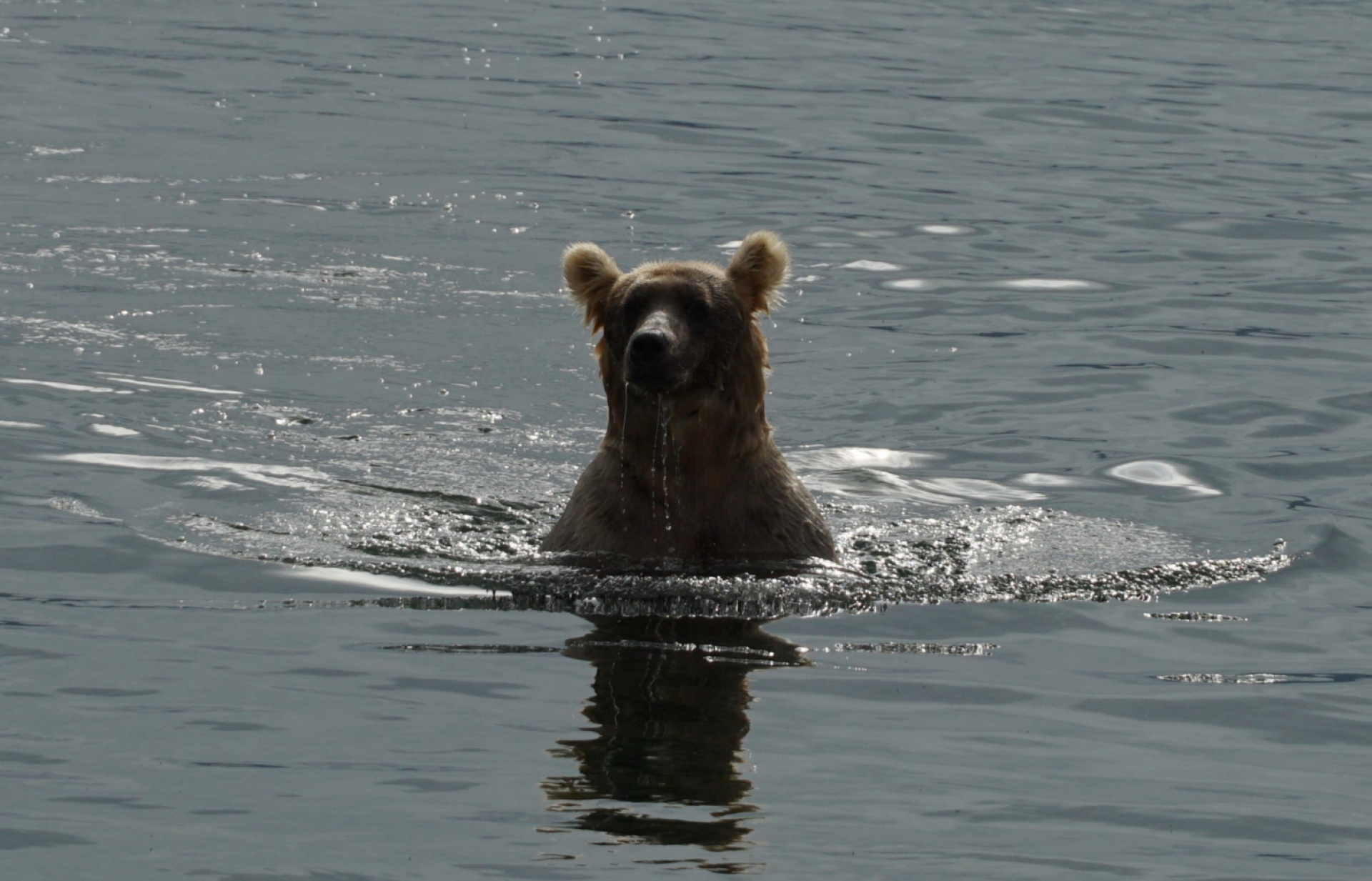 Κατμάι: Το παρθένο βασίλειο της «παχιάς αρκούδας»  