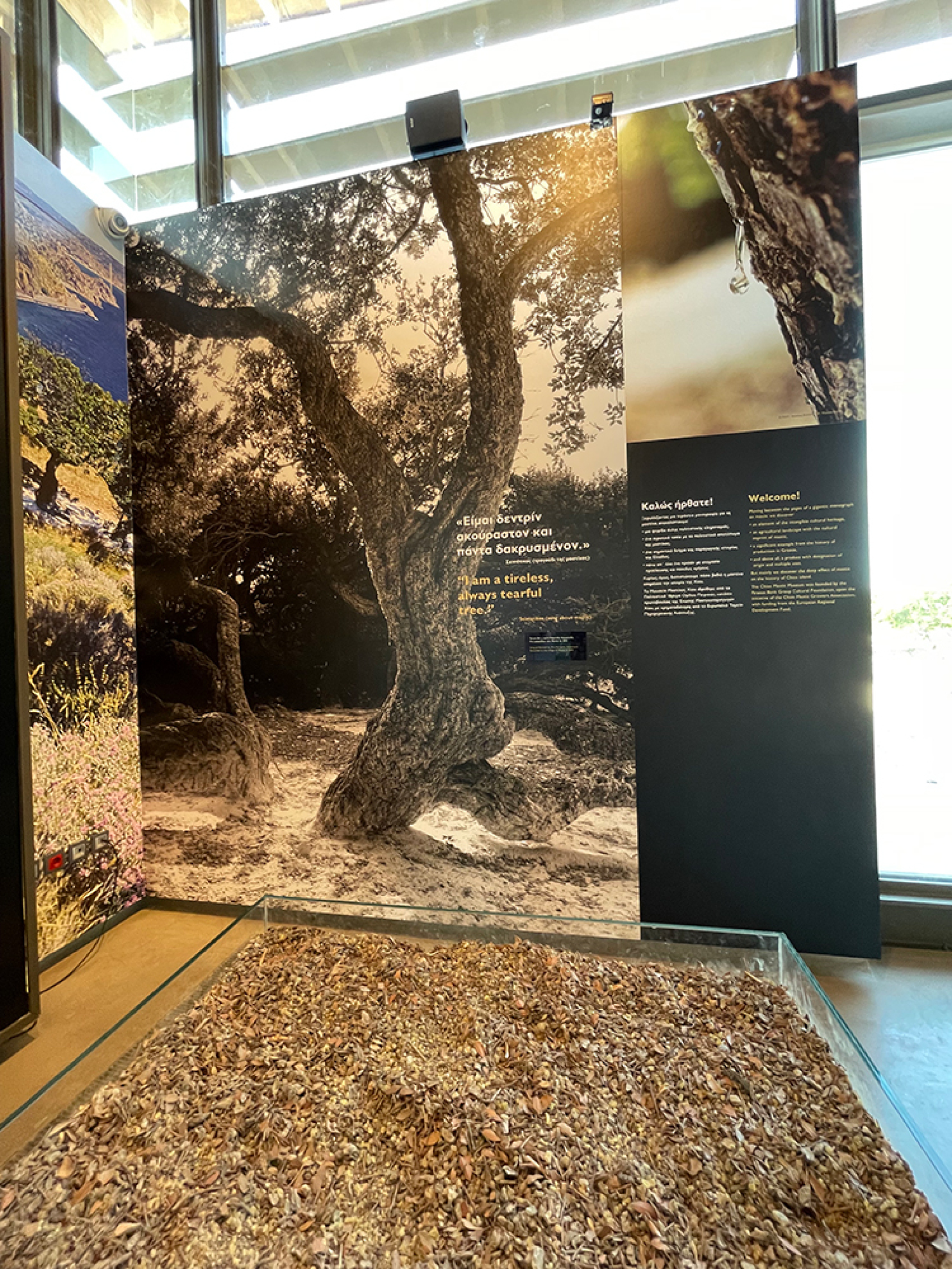 Μουσείο Μαστίχας Χίου