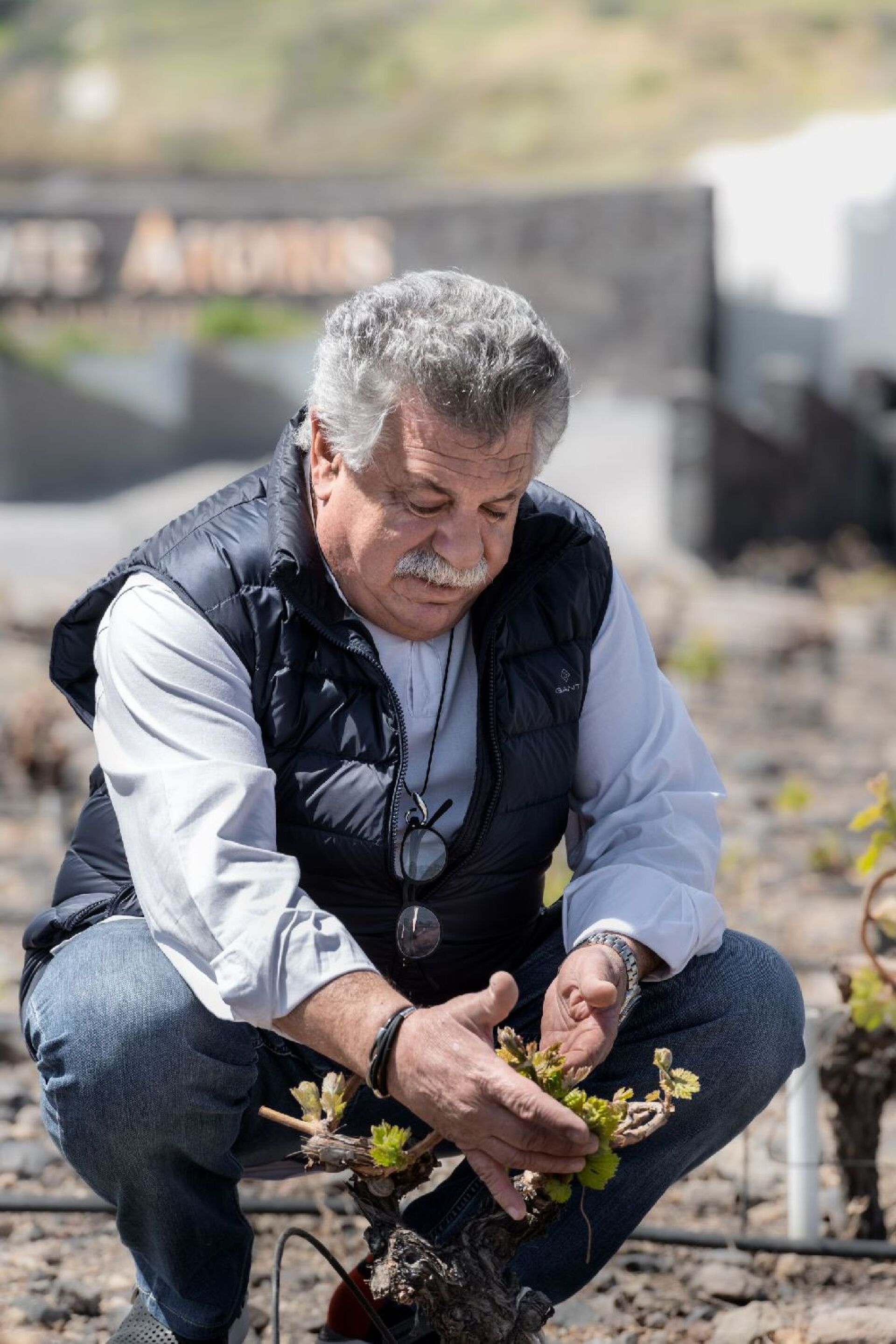 Λευτέρης Λαζάρου