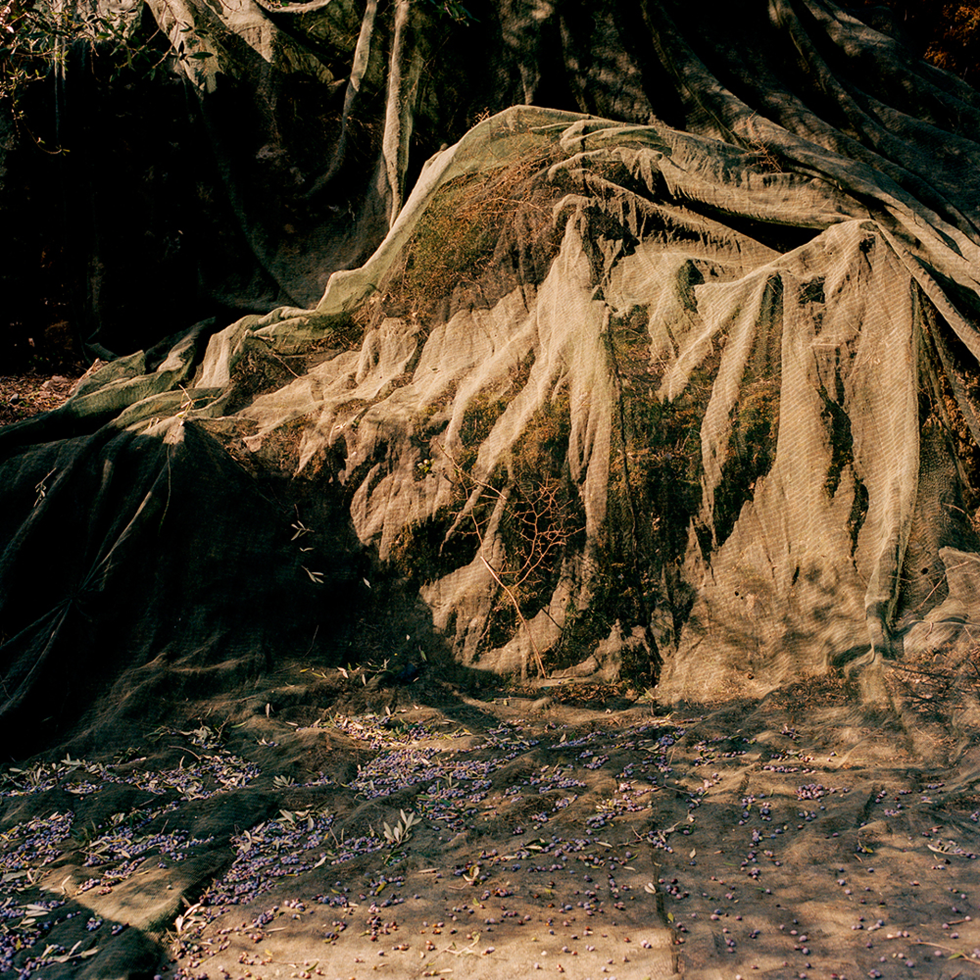 Crete @Elena Heatherwick