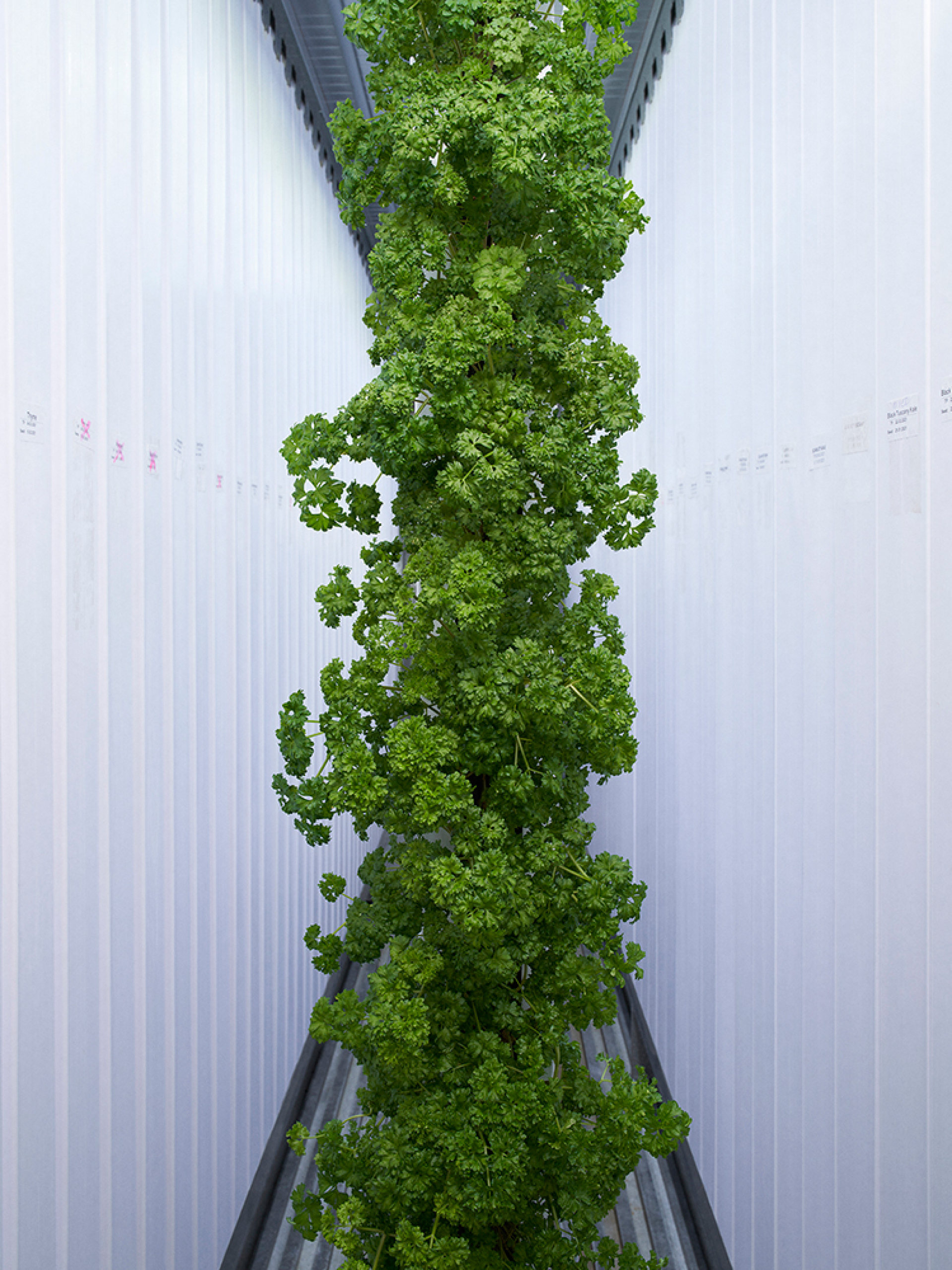 Cyprus © Johann Clausen