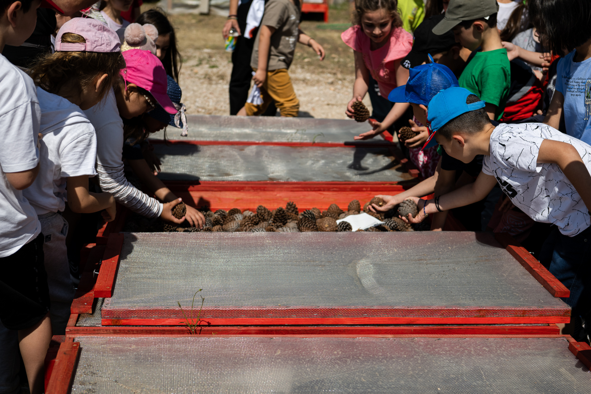 φυτώριο αμυγδαλέζα motor oil