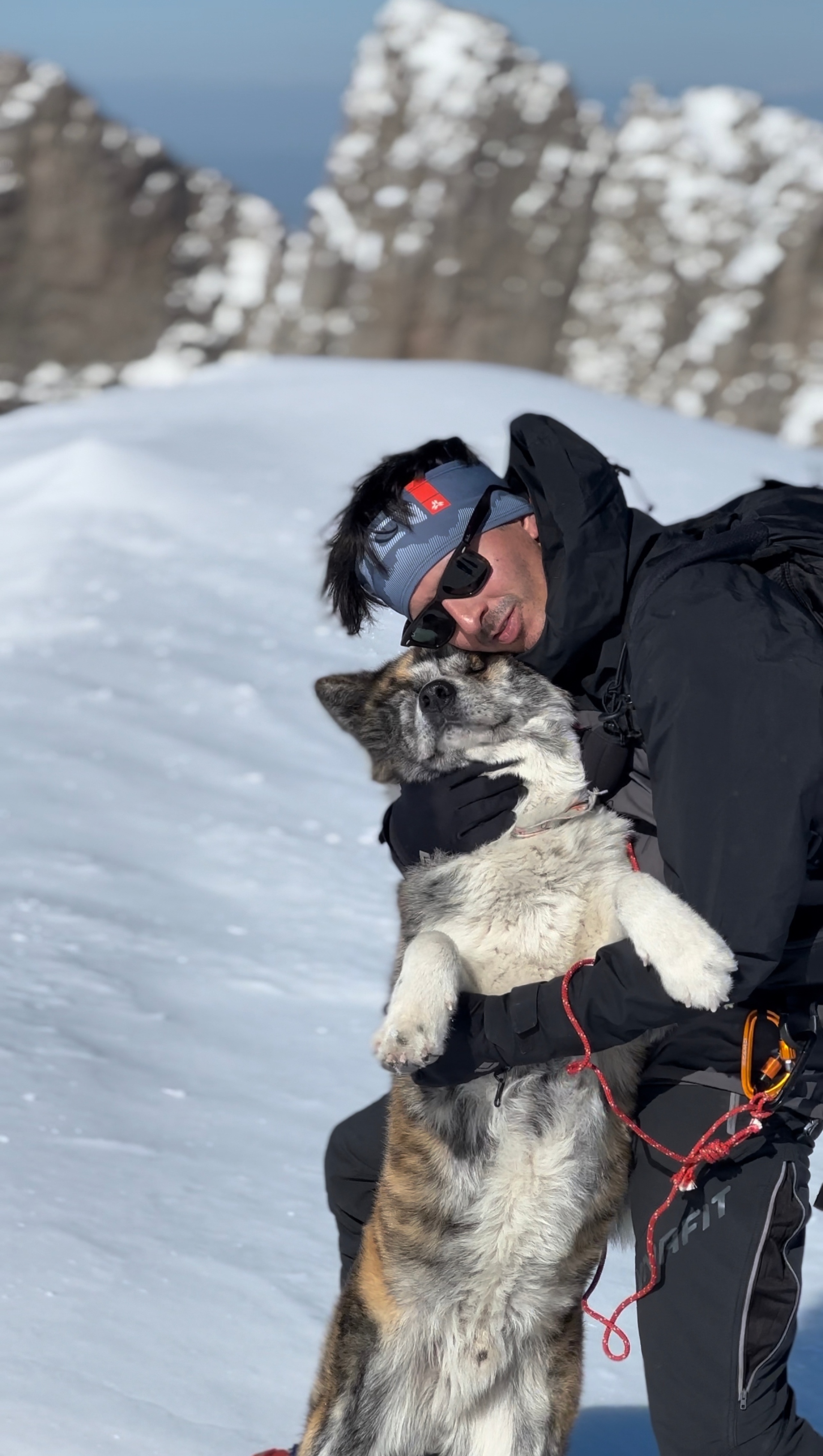 Άρης Αβέλλας