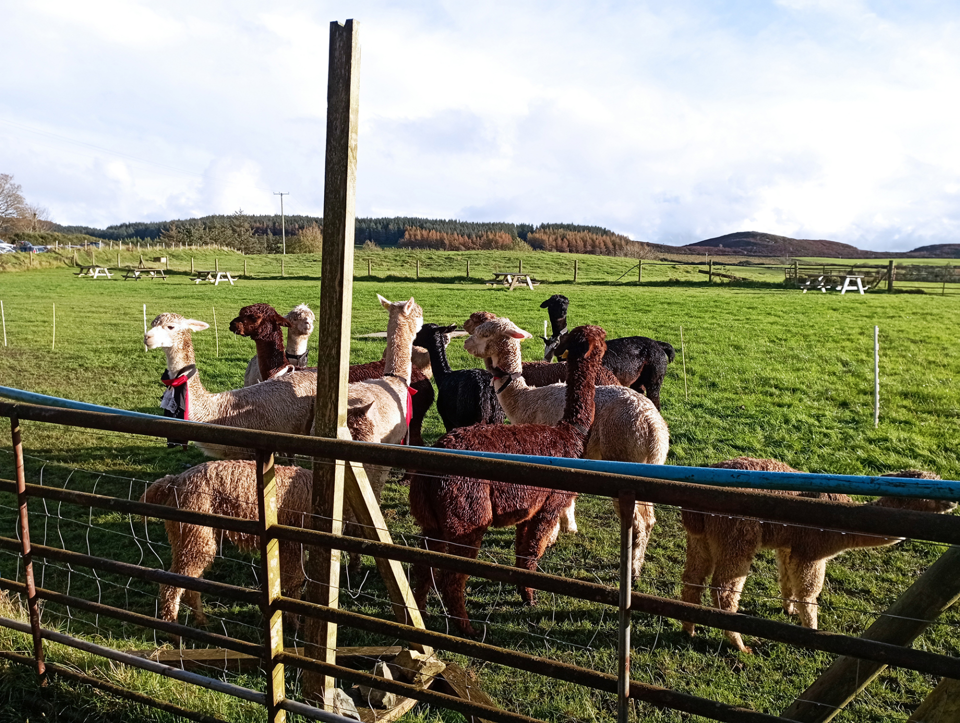 Ιρλανδία: Διακοπές στο καταπράσινο και βροχερό Greystones