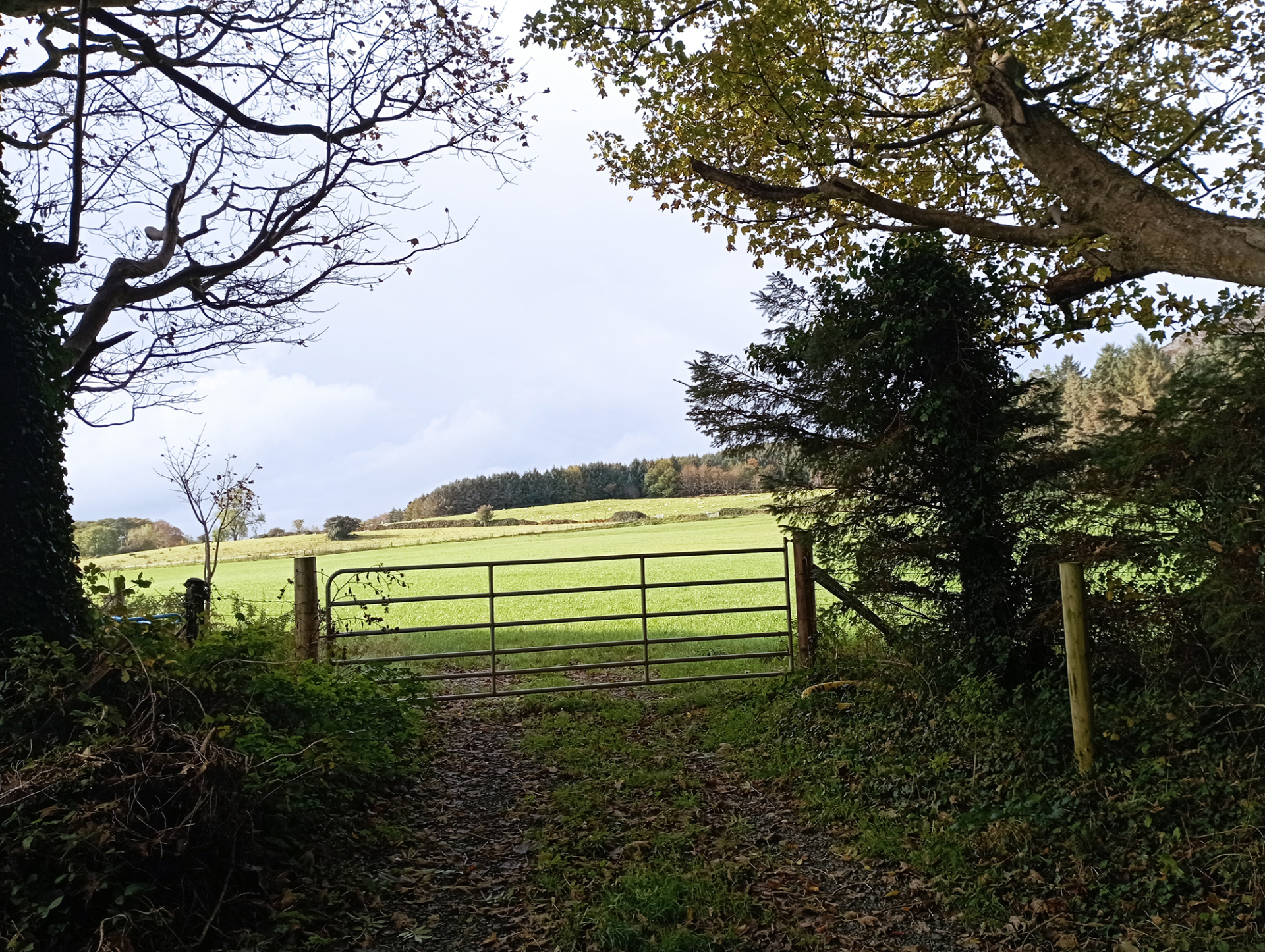 Ιρλανδία: Διακοπές στο καταπράσινο και βροχερό Greystones