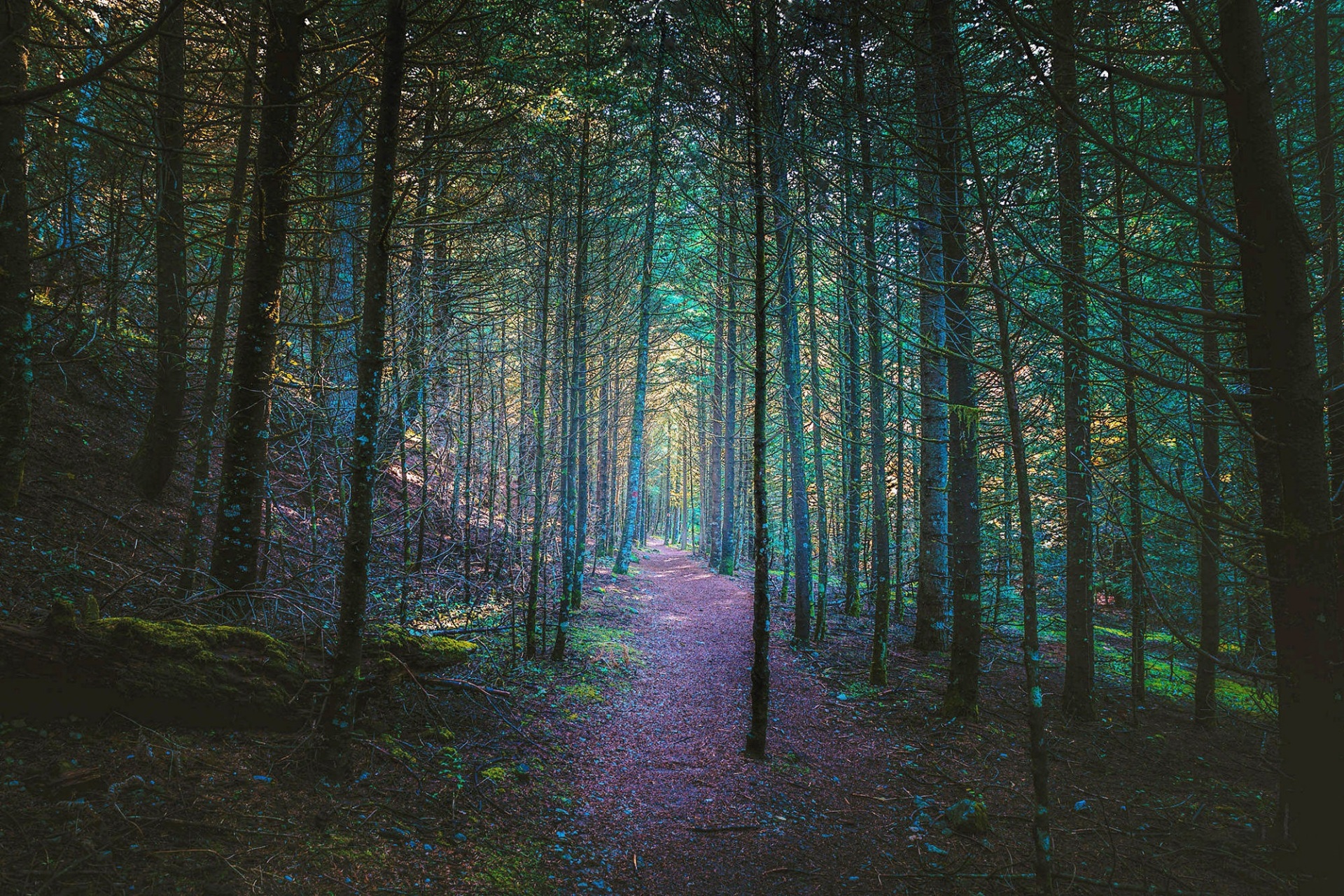 Ο διεθνής φωτογράφος, Γιάννης Λάριος, μιλάει στην Athens Voice για τη σχέση του ανθρώπου με την τεχνολογία και τη φύση