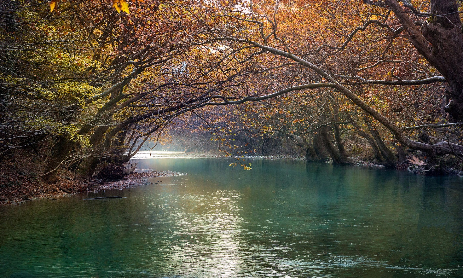 Ο διεθνής φωτογράφος, Γιάννης Λάριος, μιλάει στην Athens Voice για τη σχέση του ανθρώπου με την τεχνολογία και τη φύση