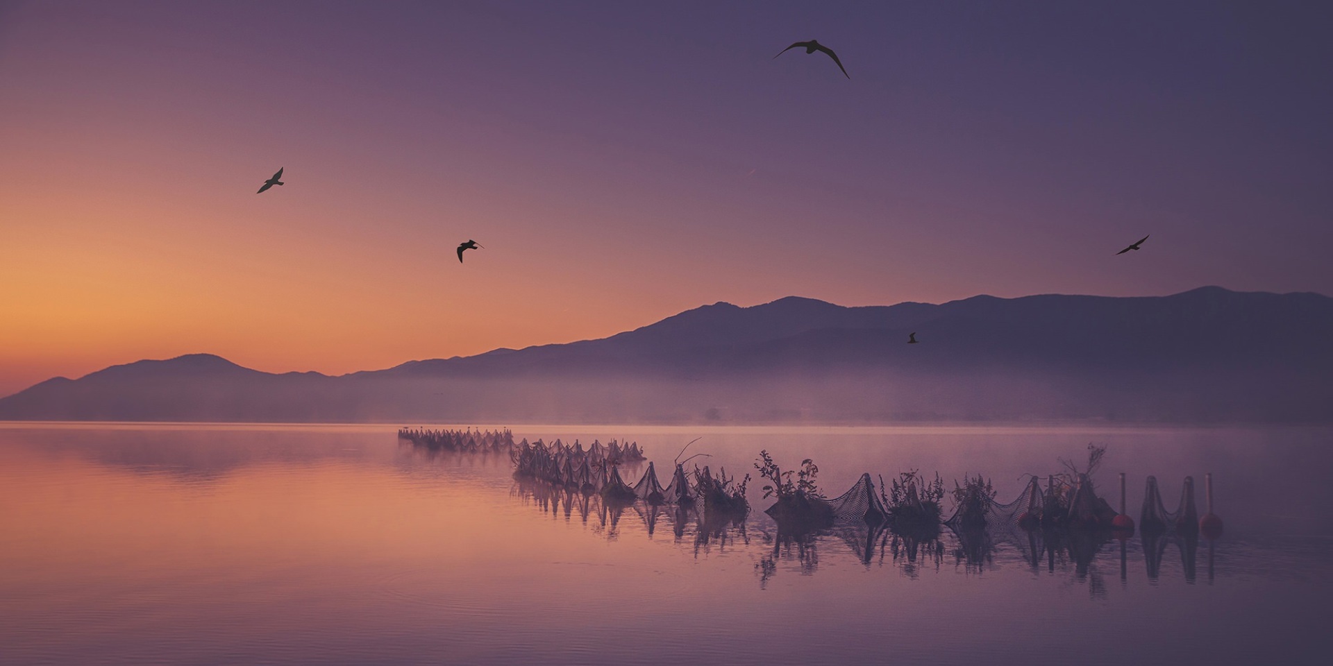 Ο διεθνής φωτογράφος, Γιάννης Λάριος, μιλάει στην Athens Voice για τη σχέση του ανθρώπου με την τεχνολογία και τη φύση