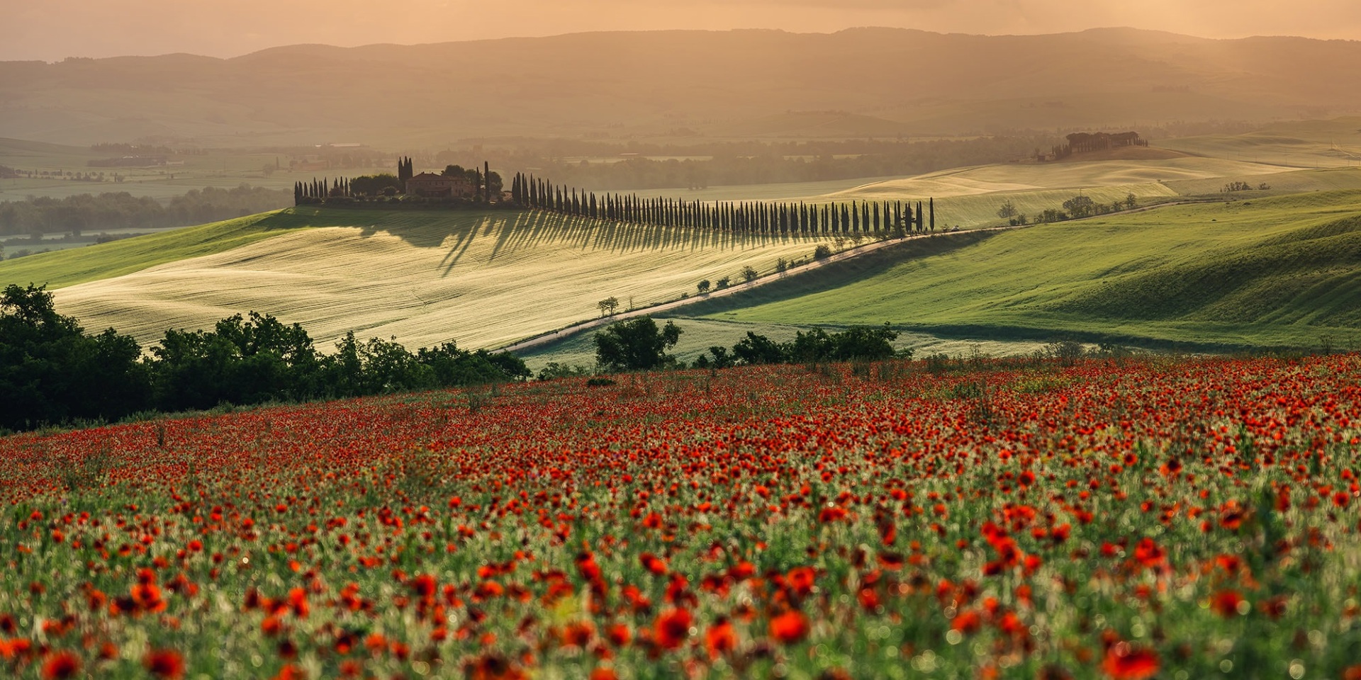 Ο διεθνής φωτογράφος, Γιάννης Λάριος, μιλάει στην Athens Voice για τη σχέση του ανθρώπου με την τεχνολογία και τη φύση