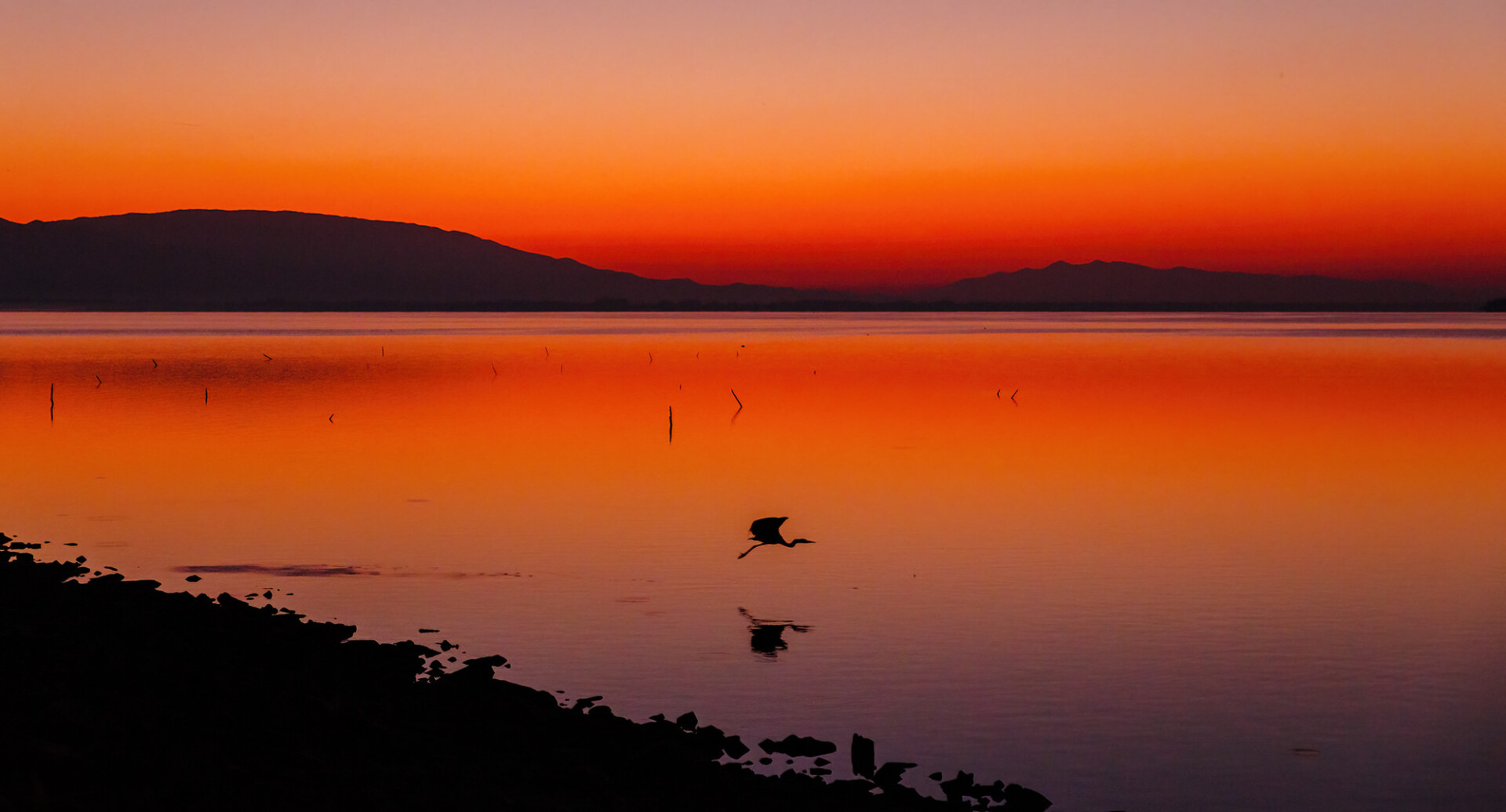 Ο διεθνής φωτογράφος, Γιάννης Λάριος, μιλάει στην Athens Voice για τη σχέση του ανθρώπου με την τεχνολογία και τη φύση