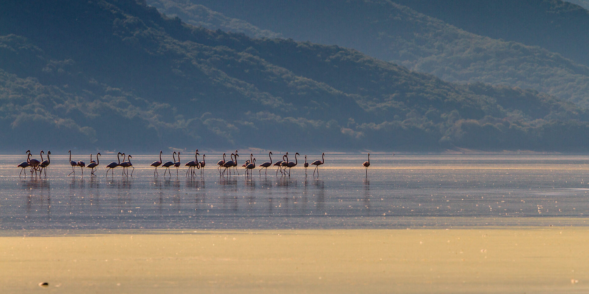 Ο διεθνής φωτογράφος, Γιάννης Λάριος, μιλάει στην Athens Voice για τη σχέση του ανθρώπου με την τεχνολογία και τη φύση