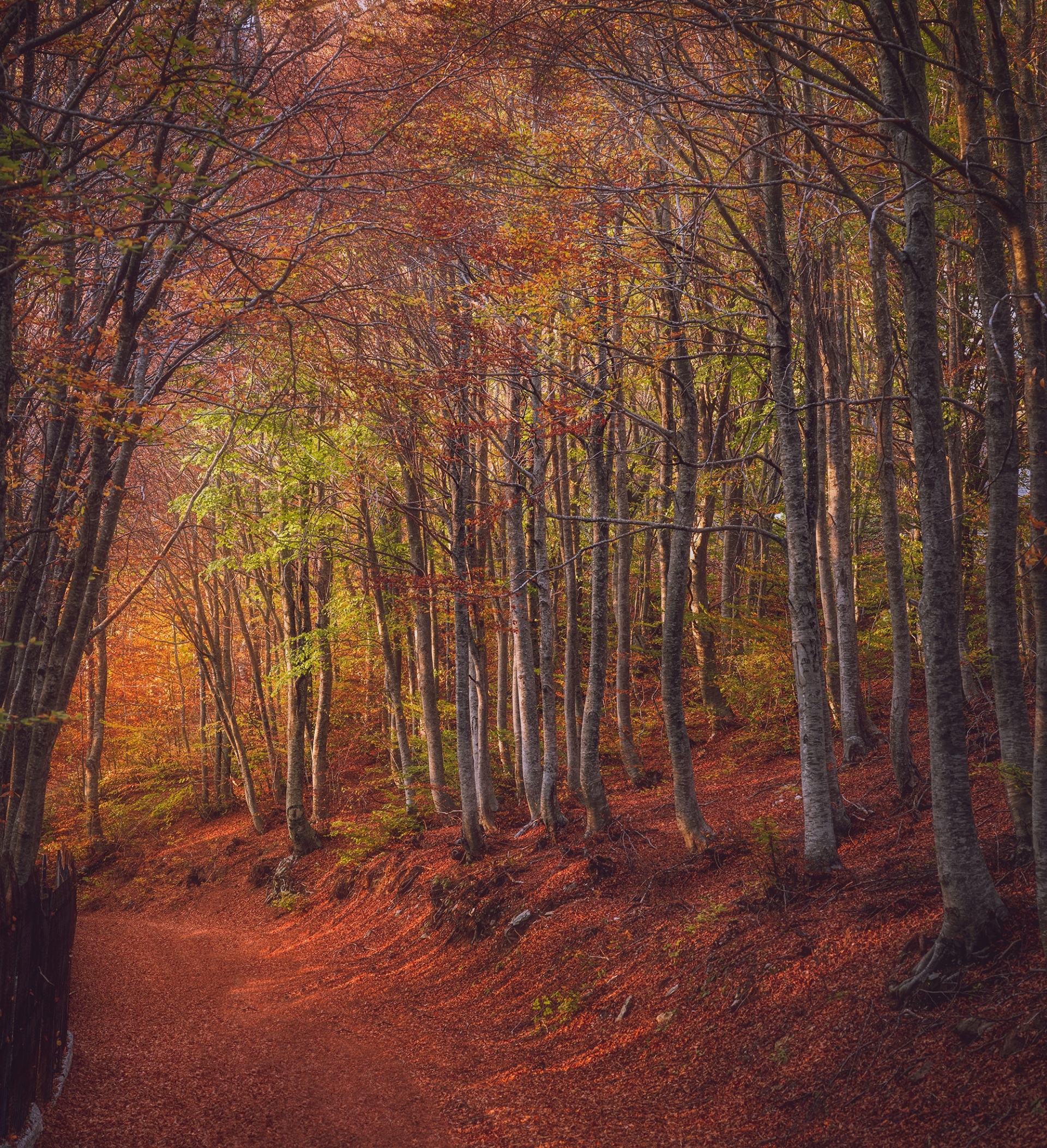 Ο διεθνής φωτογράφος, Γιάννης Λάριος, μιλάει στην Athens Voice για τη σχέση του ανθρώπου με την τεχνολογία και τη φύση