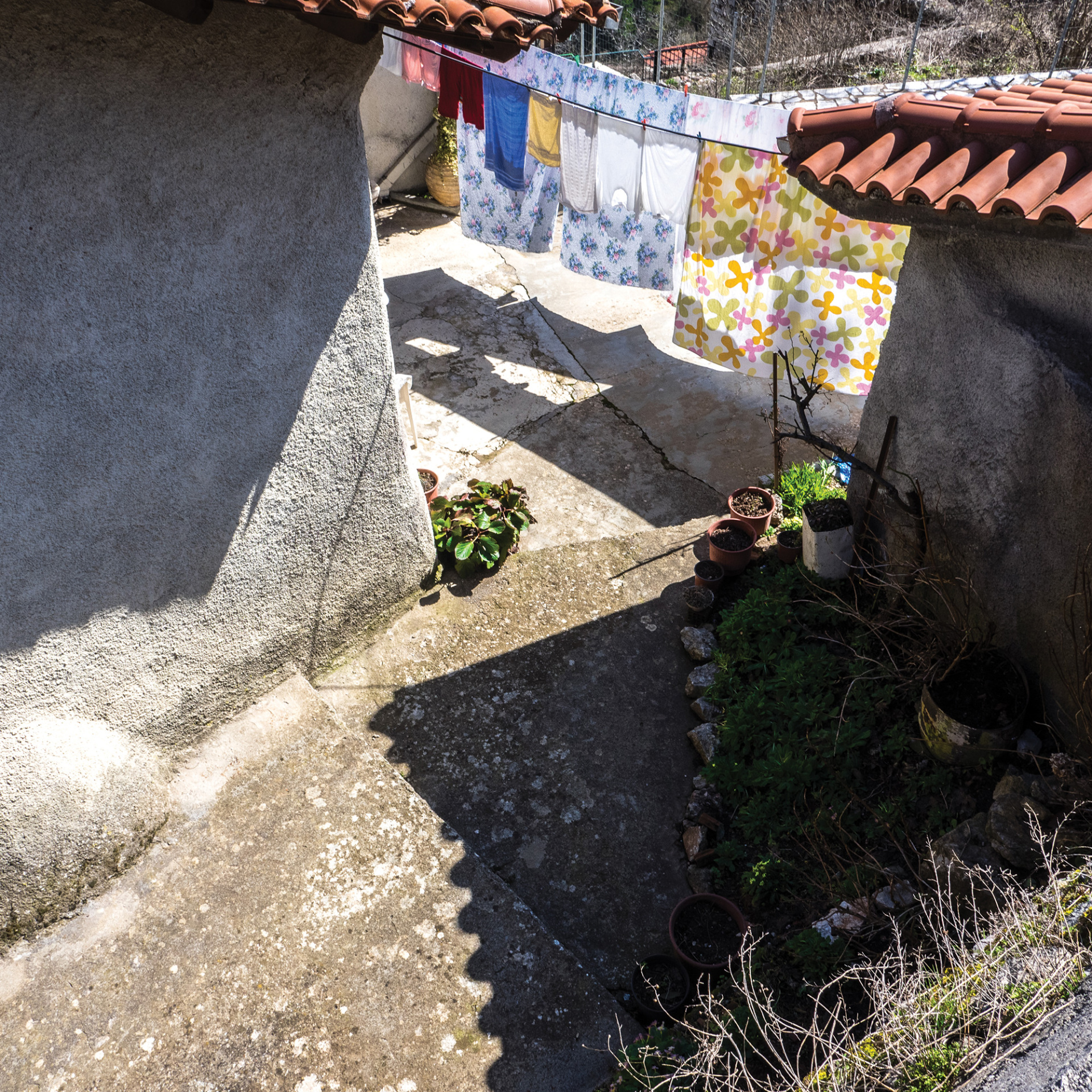 Ο Πλάτων Ριβέλλης μιλάει στην Athens Voice