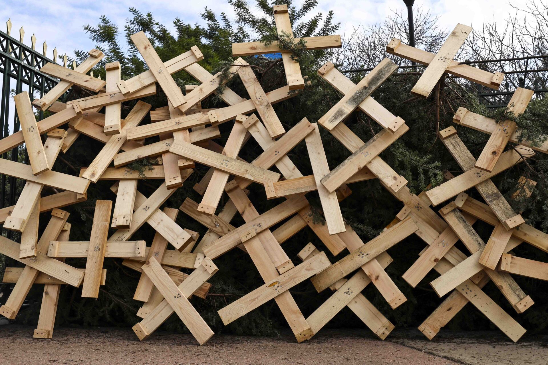 Έλατα στο Πεδίον του Άρεως