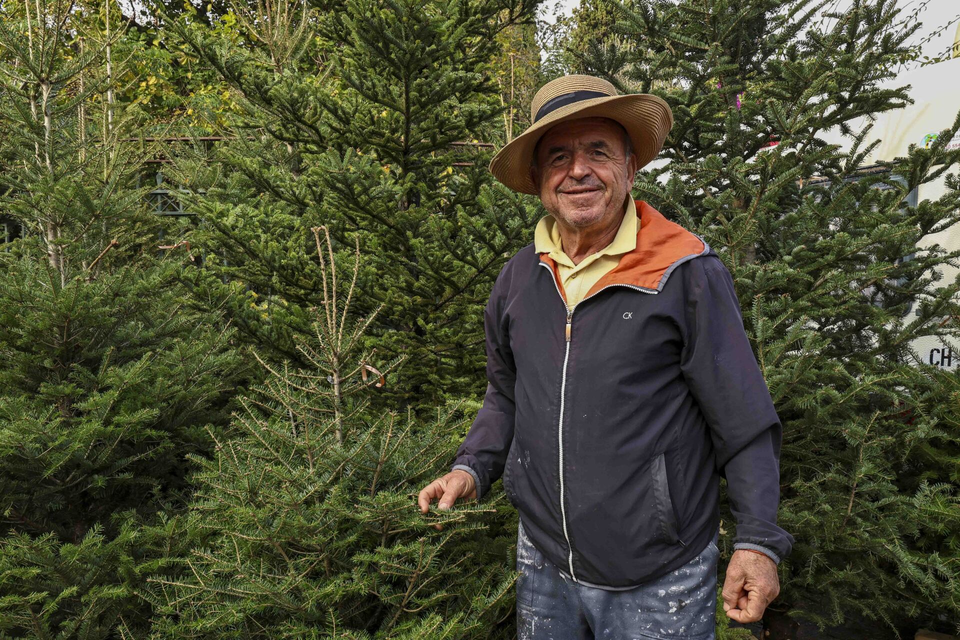 Ελατοπαραγωγός