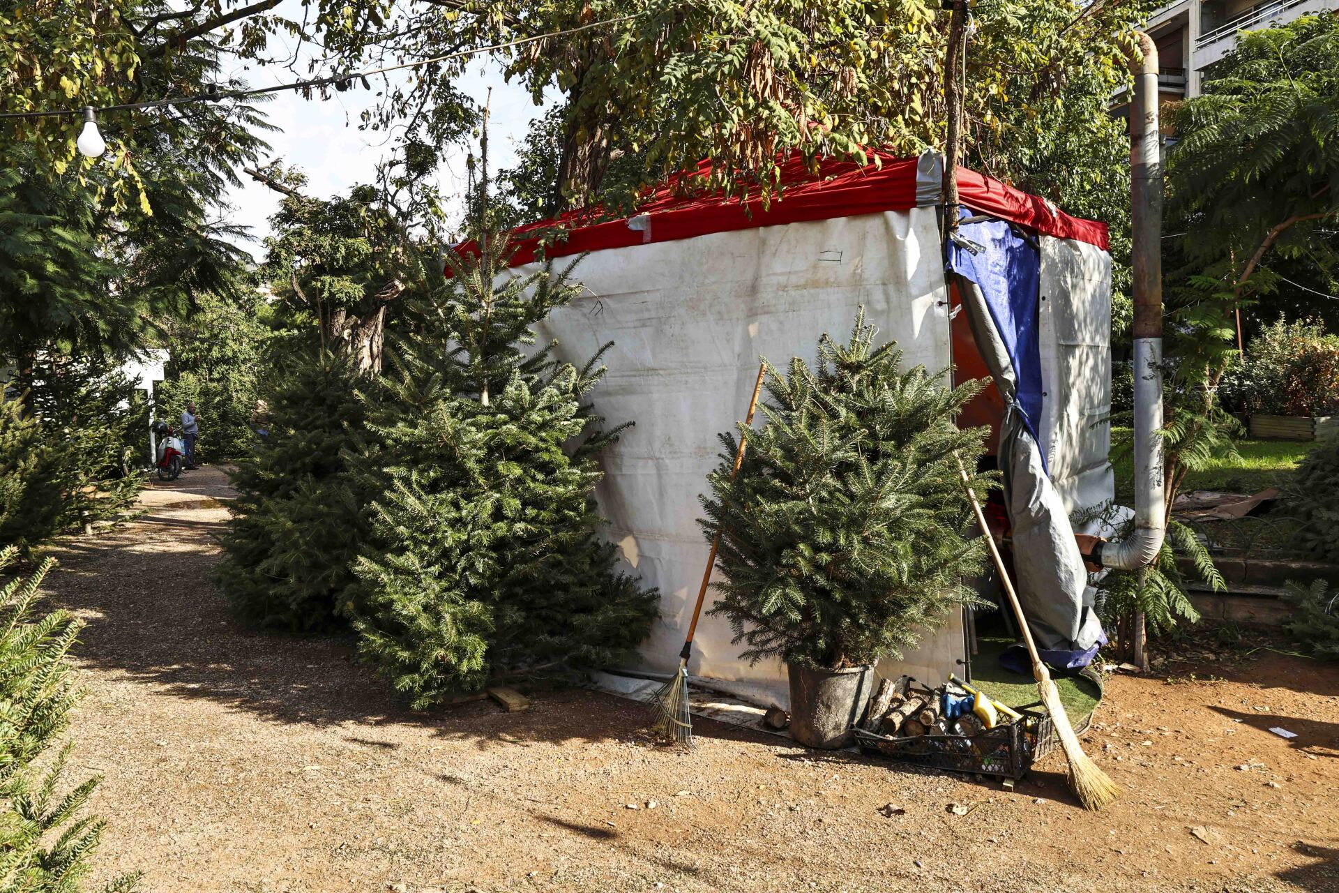 Σκηνές παραγωγών